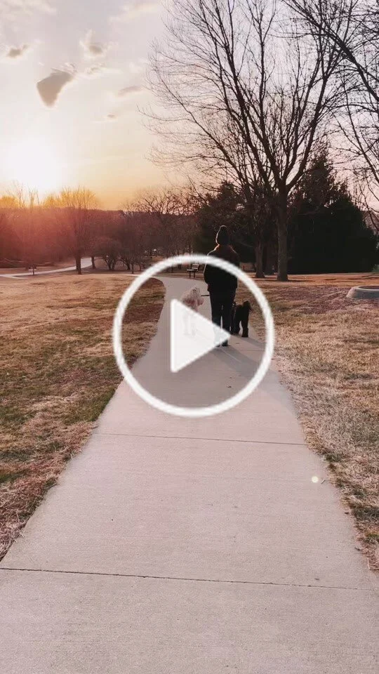 Sunset Walks With The Dogs (Copy)