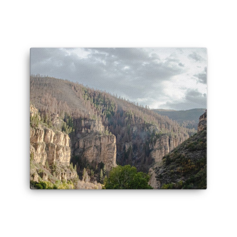 canvas-(in)-16x20-wall-625de88cbb455.jpg