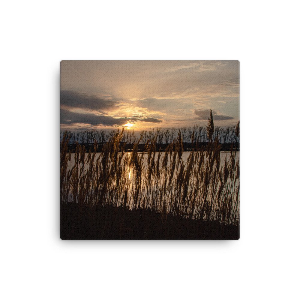 canvas-(in)-12x12-wall-627168a1639a8.jpg