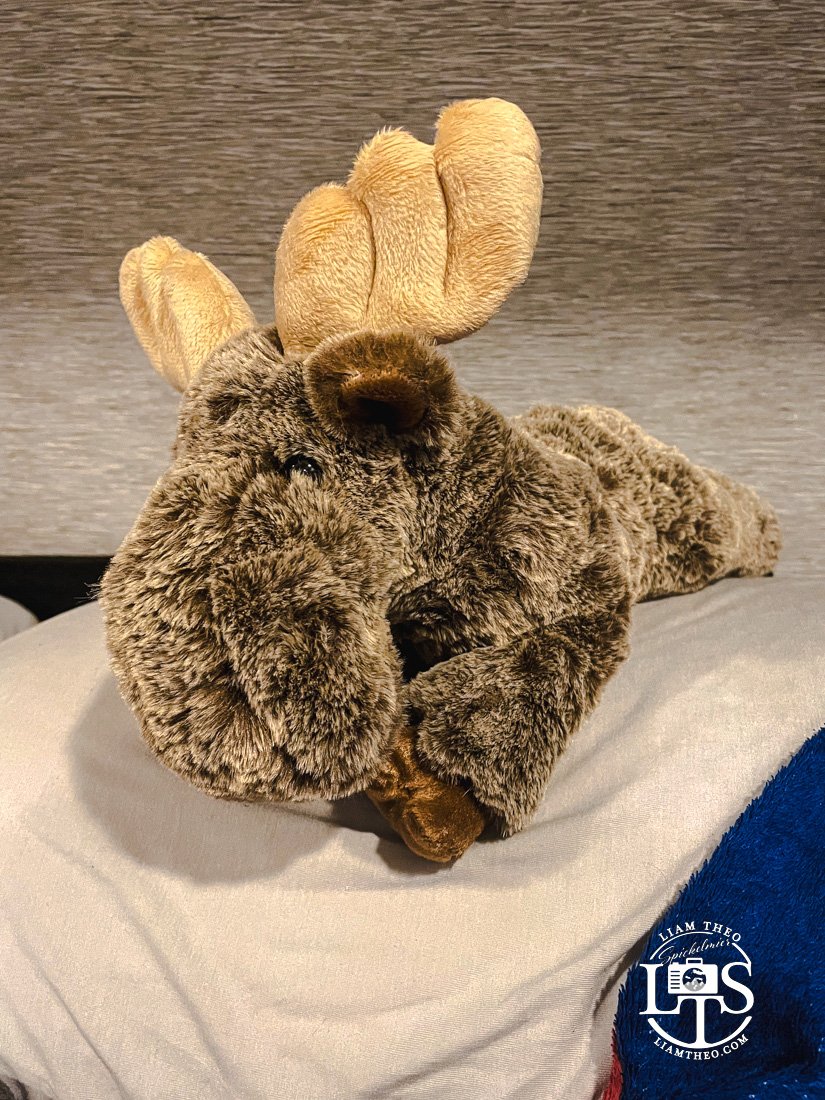 Bartlett the Stuffed Moose In Bed