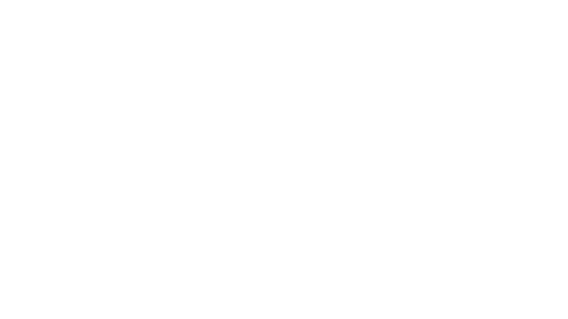 PayPal White Logo