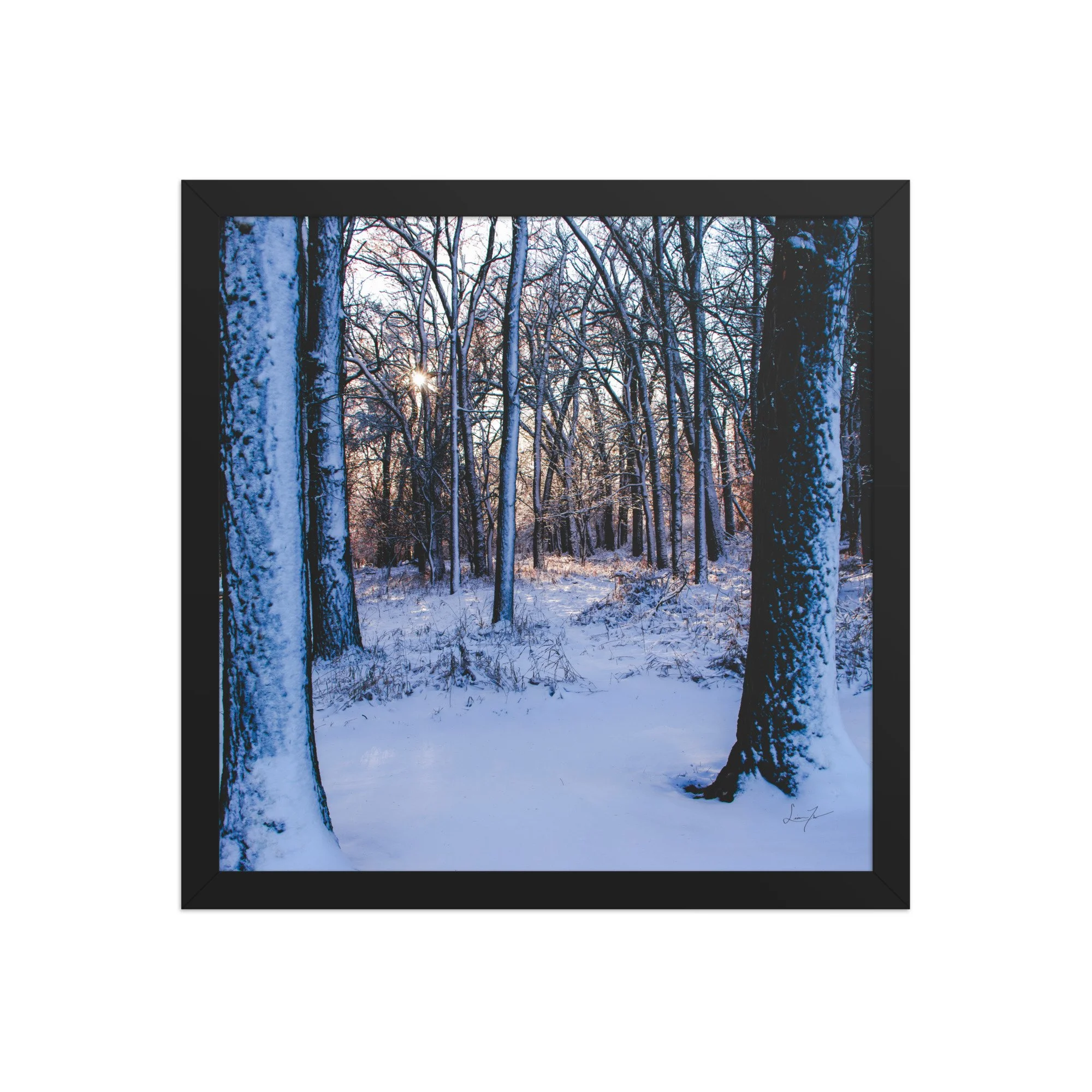 enhanced-matte-paper-framed-poster-(in)-black-14x14-front-6797007e58216.jpg