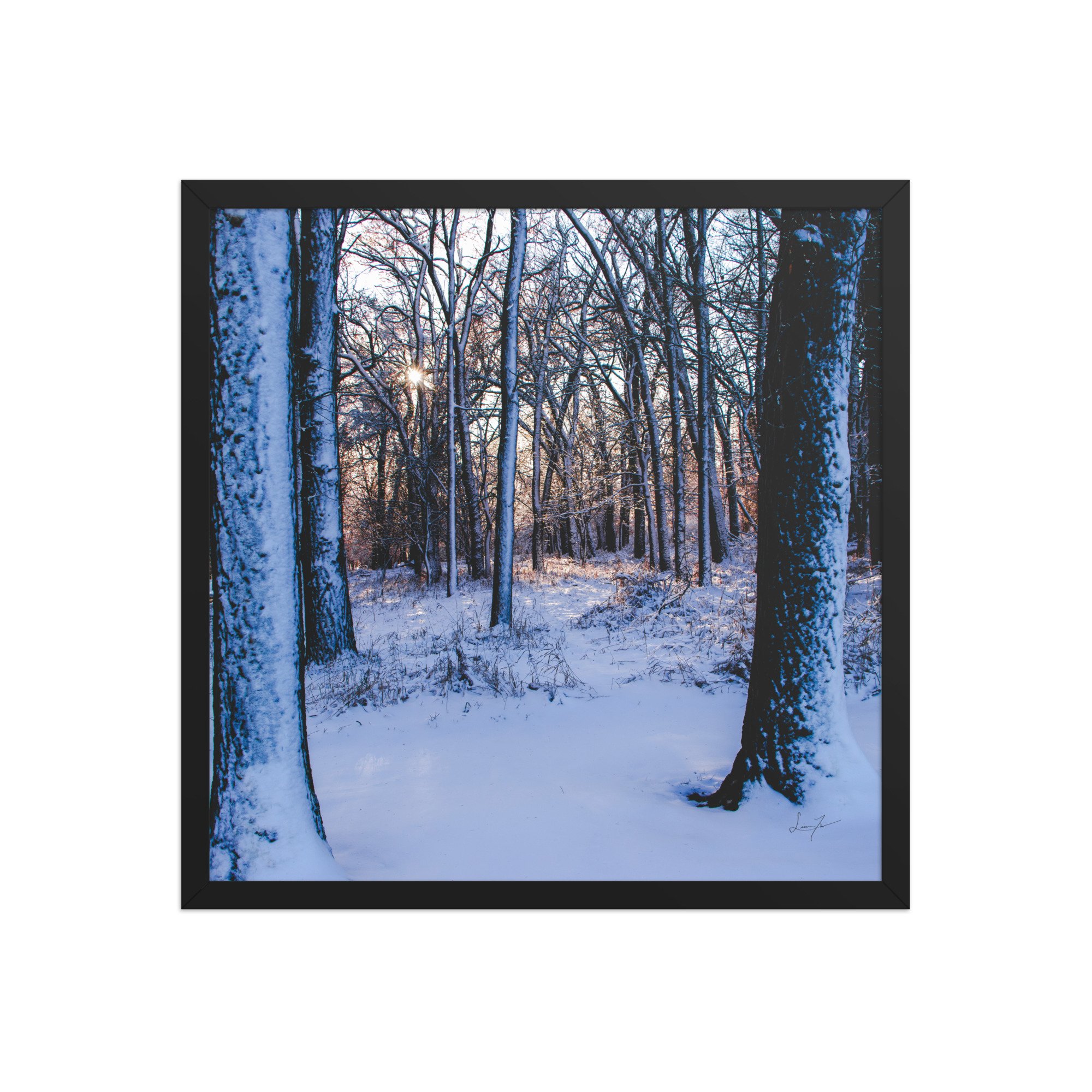 enhanced-matte-paper-framed-poster-(in)-black-18x18-front-6797007e584f5.jpg