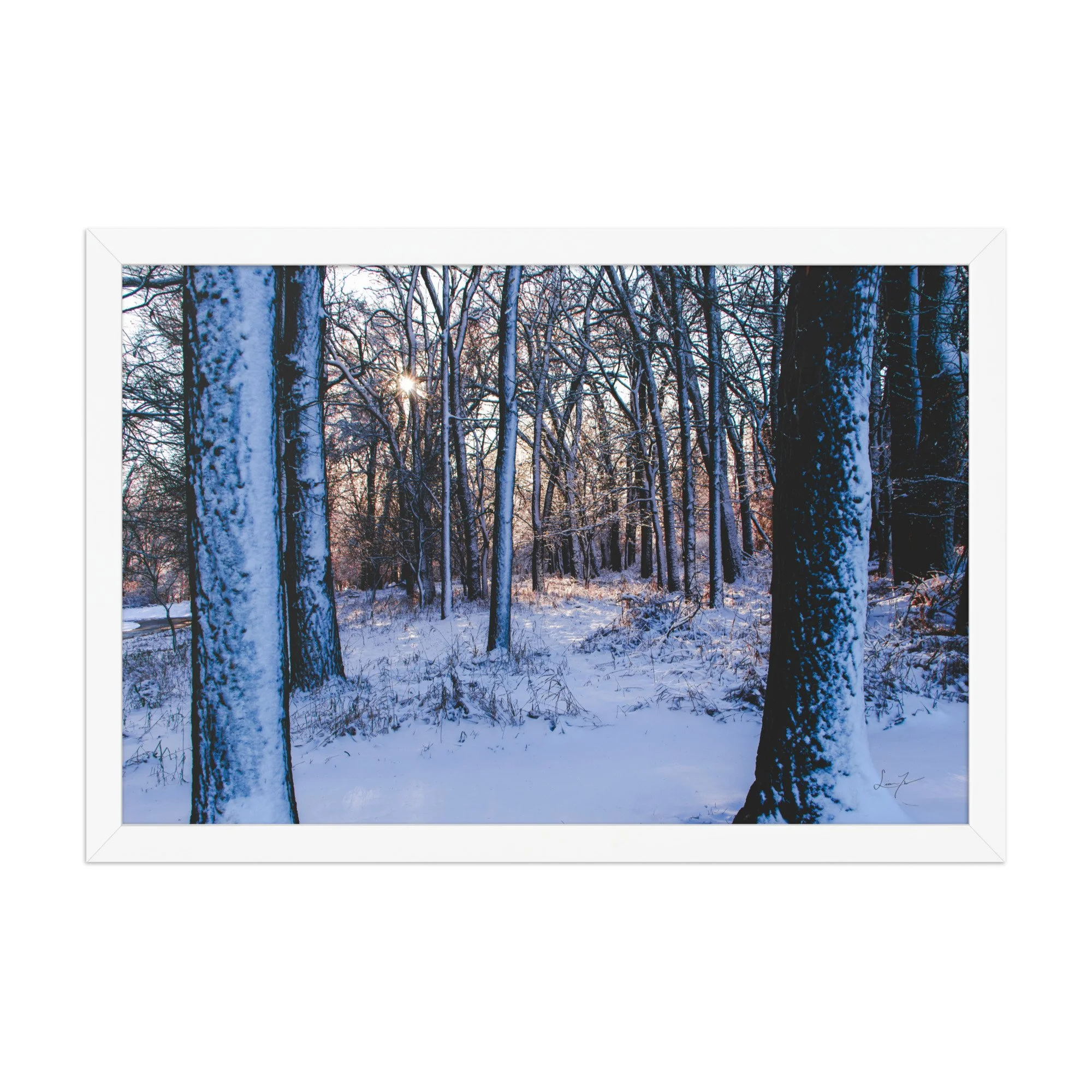 enhanced-matte-paper-framed-poster-(in)-white-12x18-front-6797007e58b0e.jpg