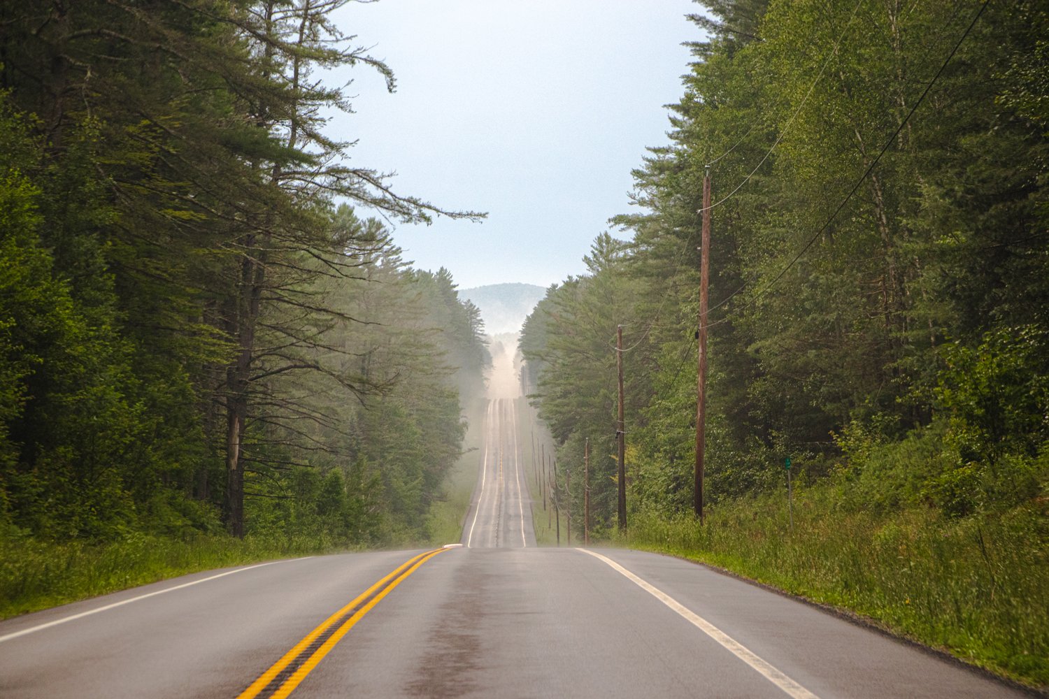 Foggy Rollercoaster Road