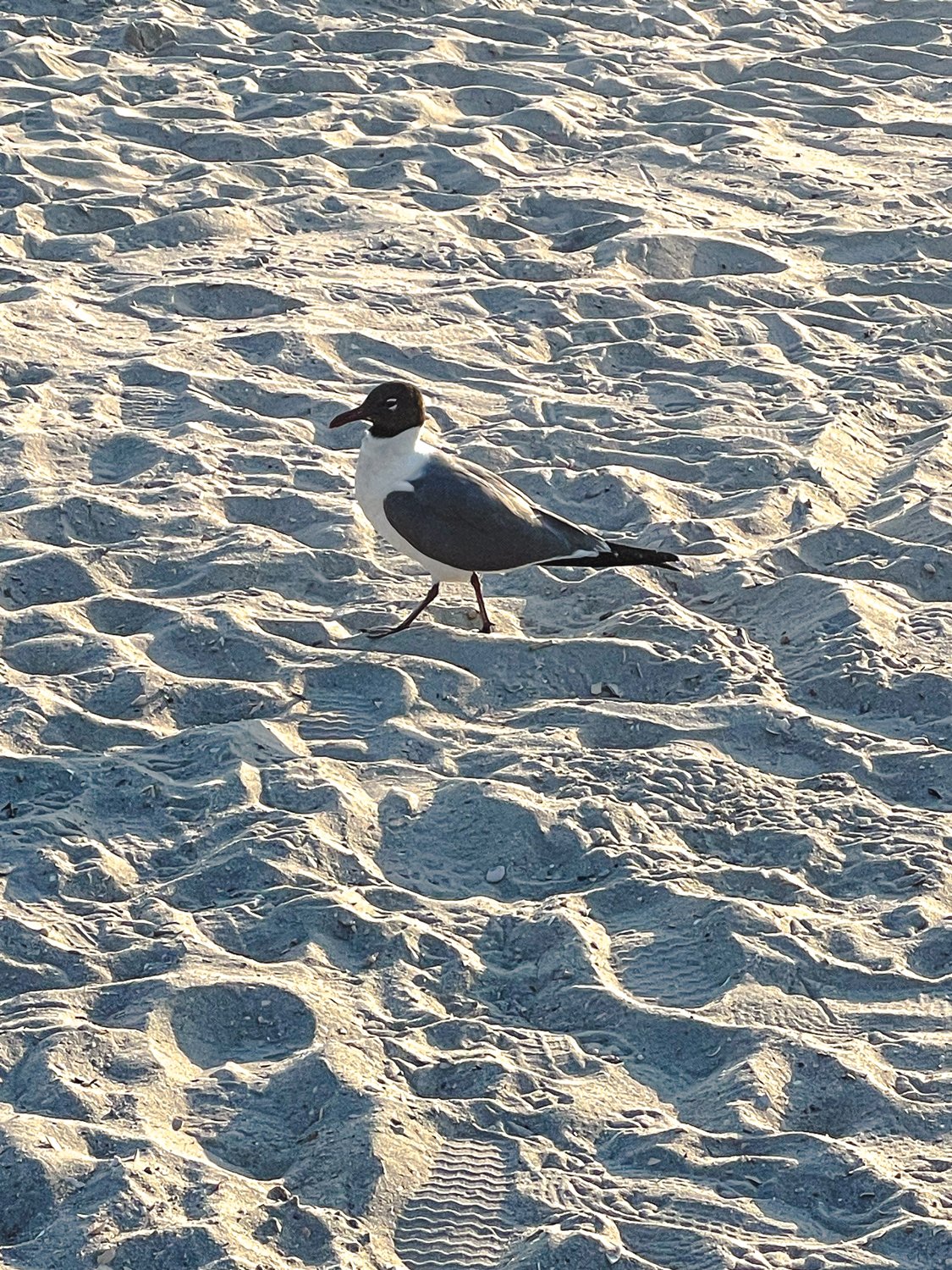 Toes in the Sand