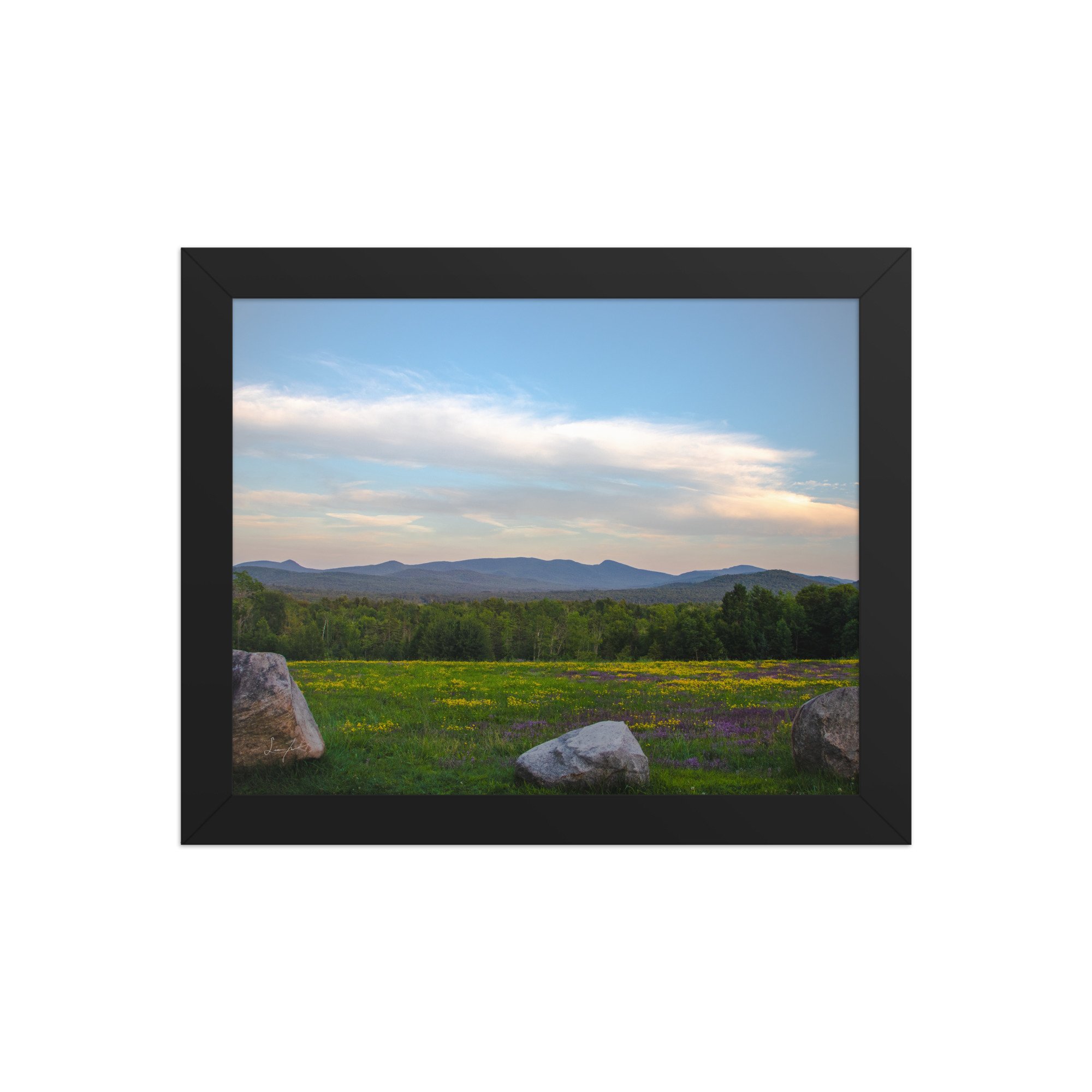 premium-luster-photo-paper-framed-poster-(in)-black-8x10-front-686a1423dab50.jpg