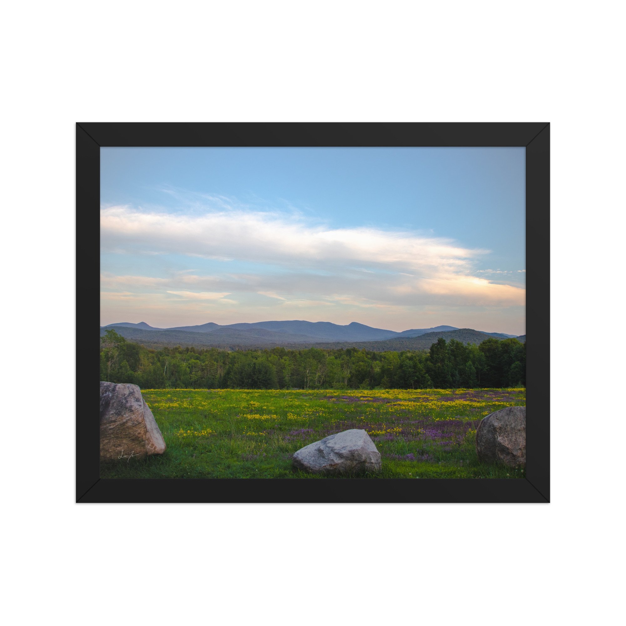 premium-luster-photo-paper-framed-poster-(in)-black-11x14-front-686a1423dac0e.jpg