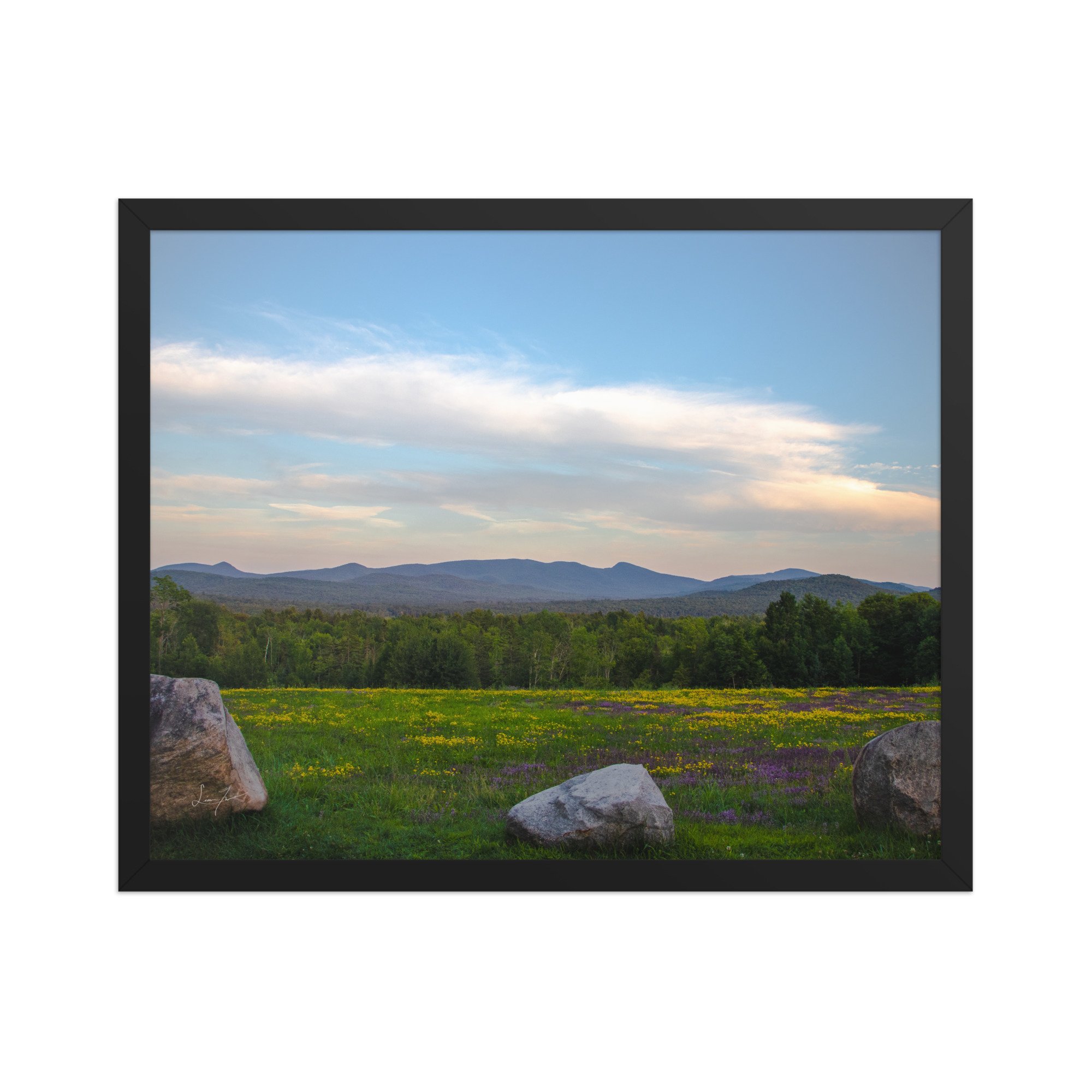 premium-luster-photo-paper-framed-poster-(in)-black-16x20-front-686a1423dade9.jpg