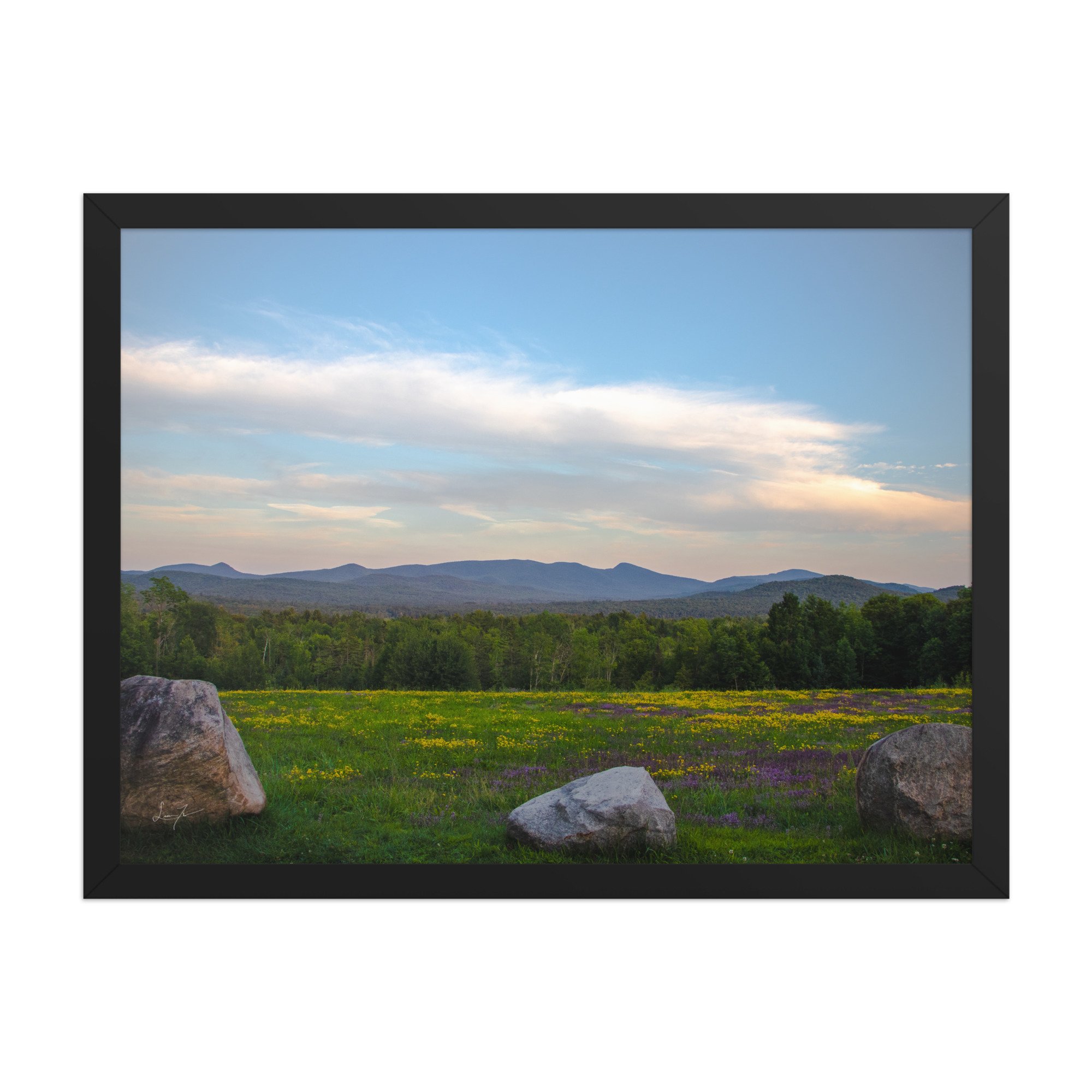 premium-luster-photo-paper-framed-poster-(in)-black-18x24-front-686a1423dae98.jpg