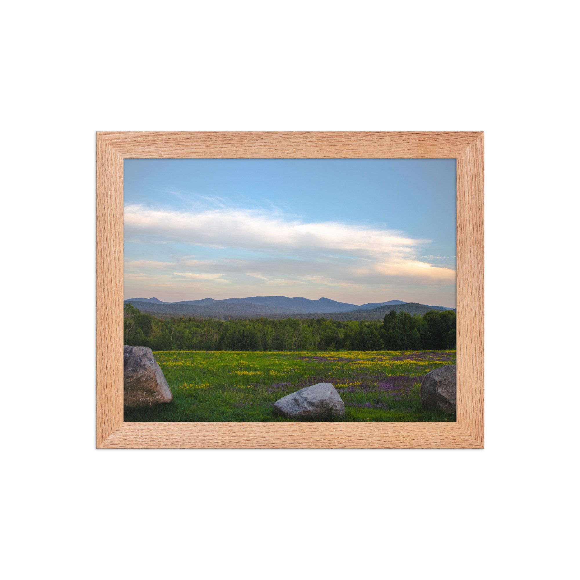 premium-luster-photo-paper-framed-poster-(in)-red-oak-8x10-front-686a1423daf8a.jpg