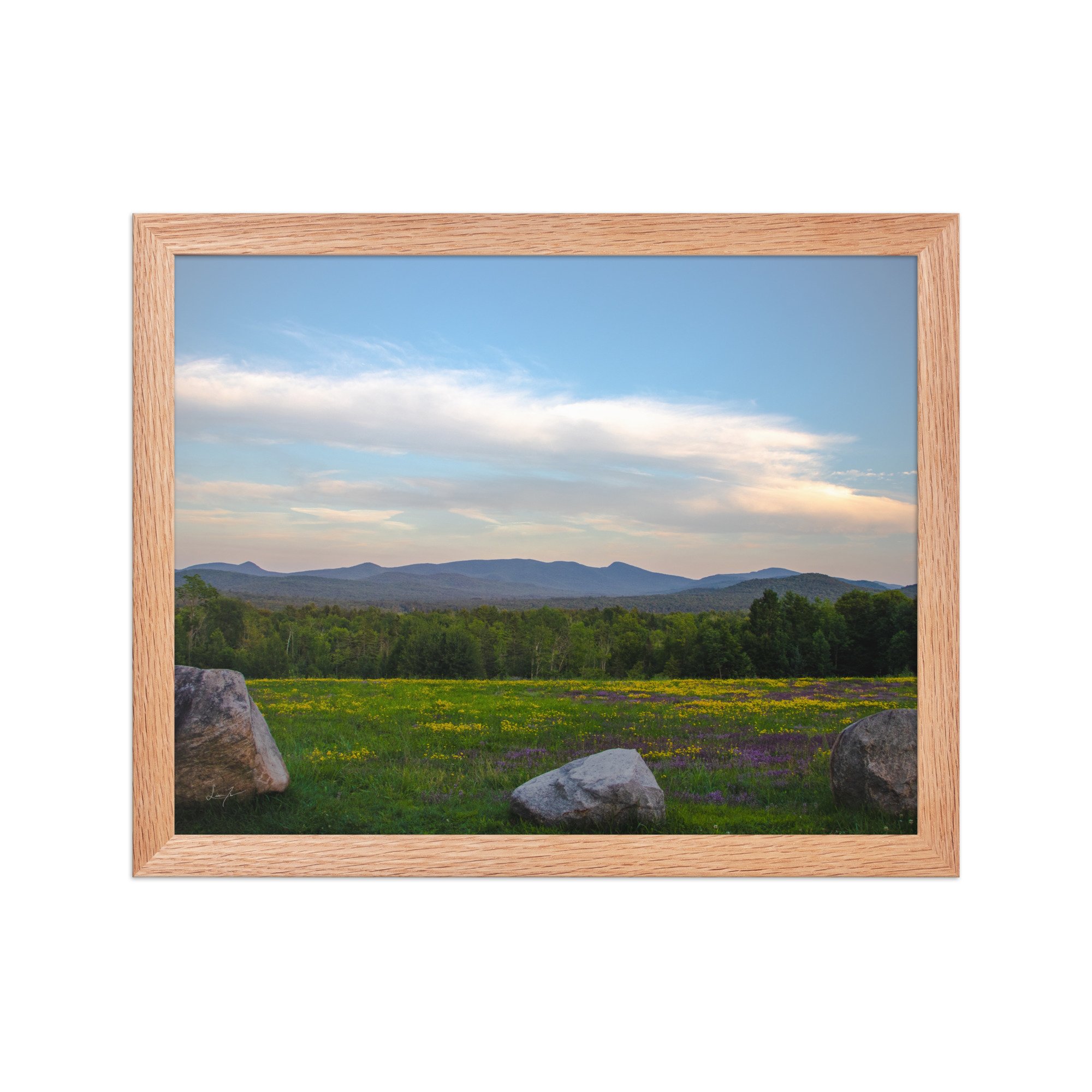 premium-luster-photo-paper-framed-poster-(in)-red-oak-11x14-front-686a1423db024.jpg