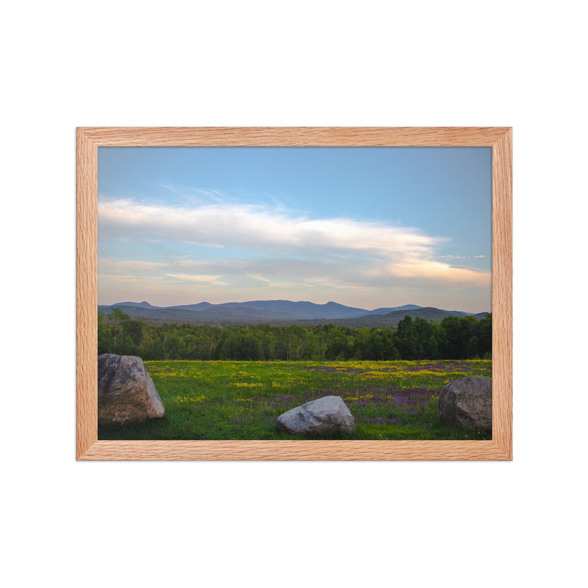 premium-luster-photo-paper-framed-poster-(in)-red-oak-12x16-front-686a1423db0ba.jpg