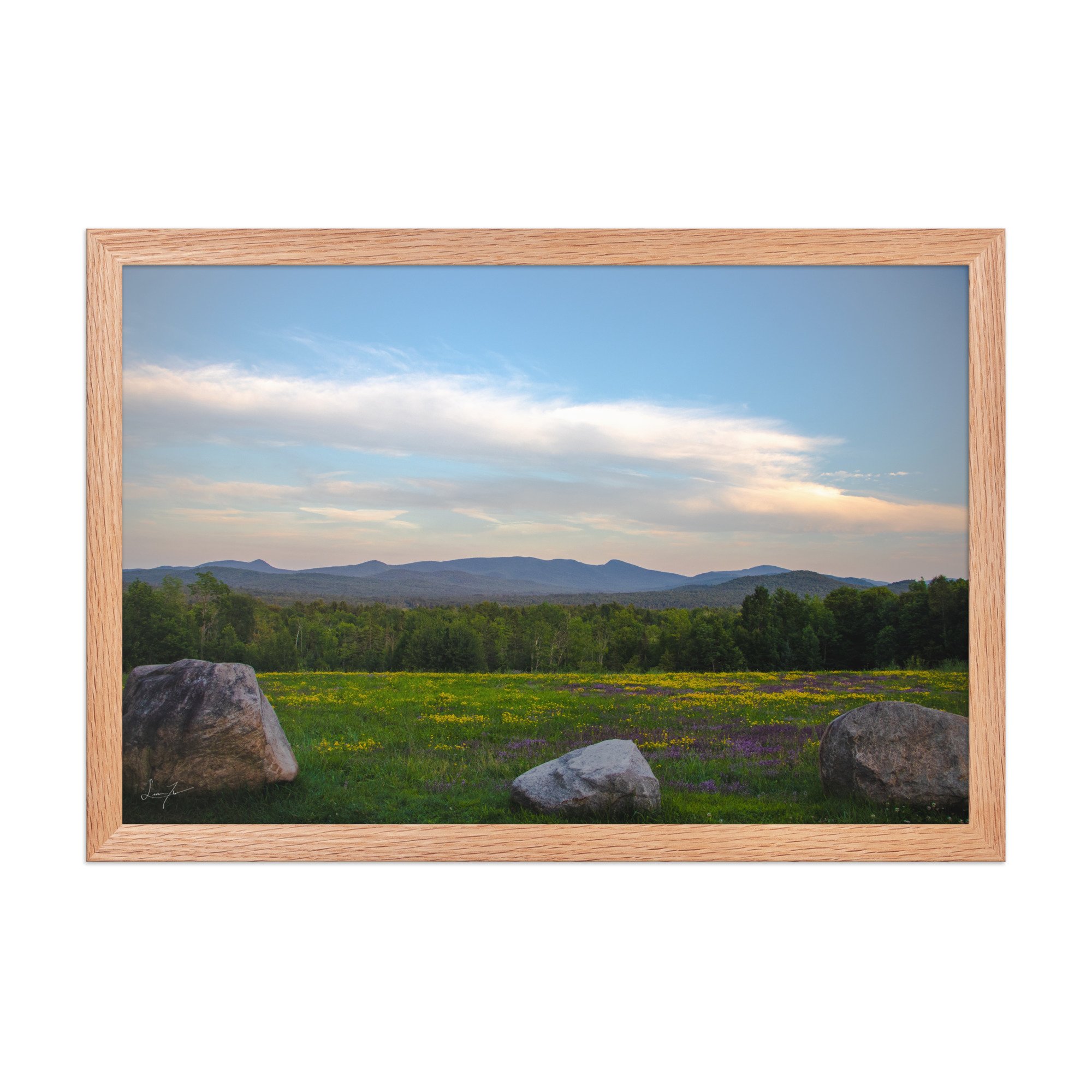 premium-luster-photo-paper-framed-poster-(in)-red-oak-12x18-front-686a1423db151.jpg