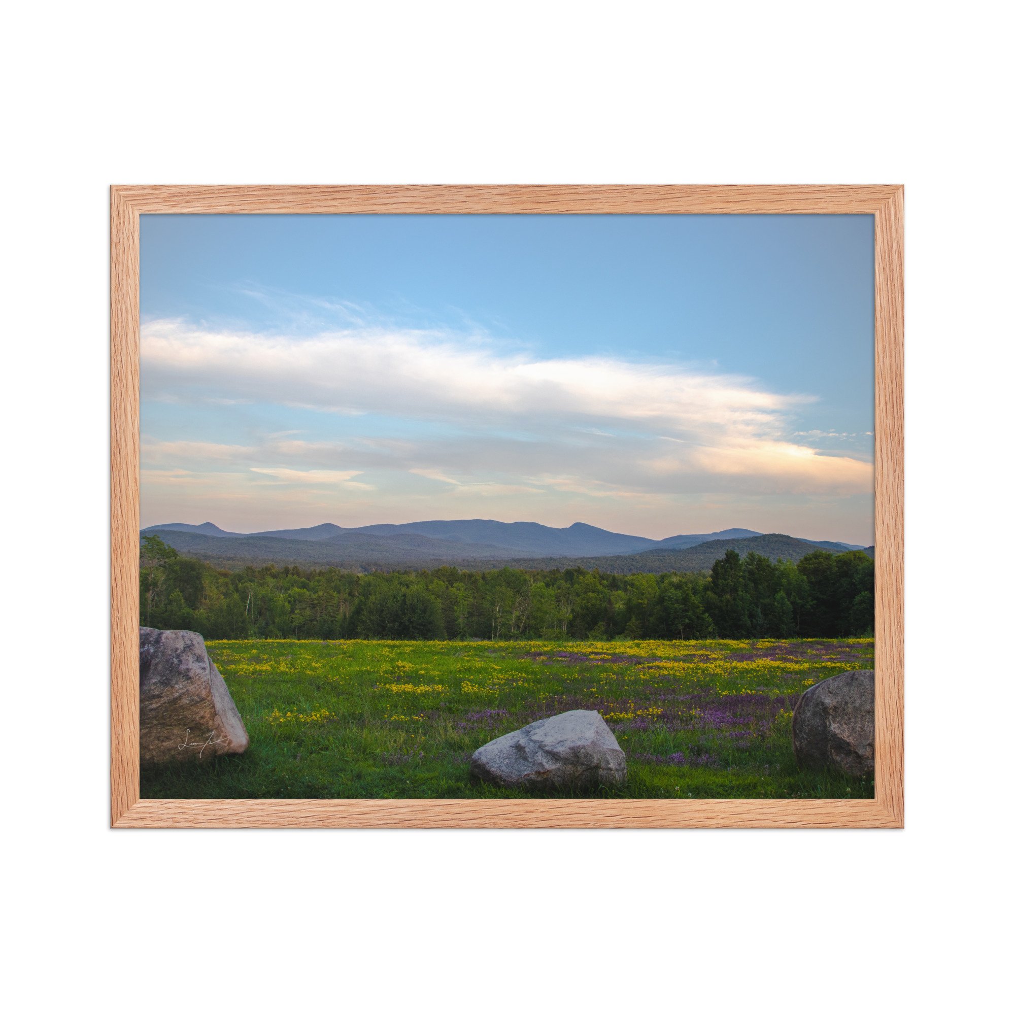 premium-luster-photo-paper-framed-poster-(in)-red-oak-16x20-front-686a1423db1e4.jpg