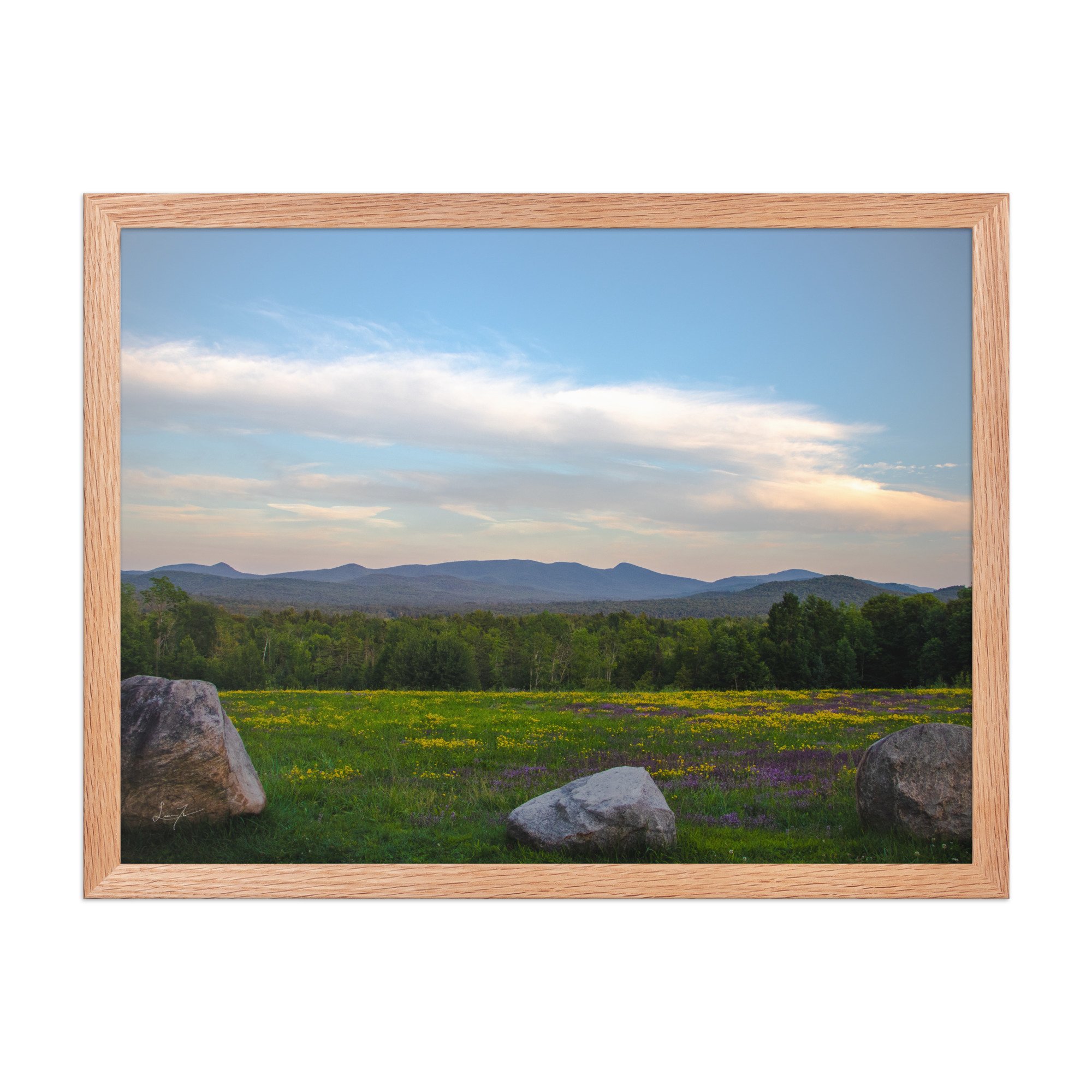 premium-luster-photo-paper-framed-poster-(in)-red-oak-18x24-front-686a1423db27b.jpg