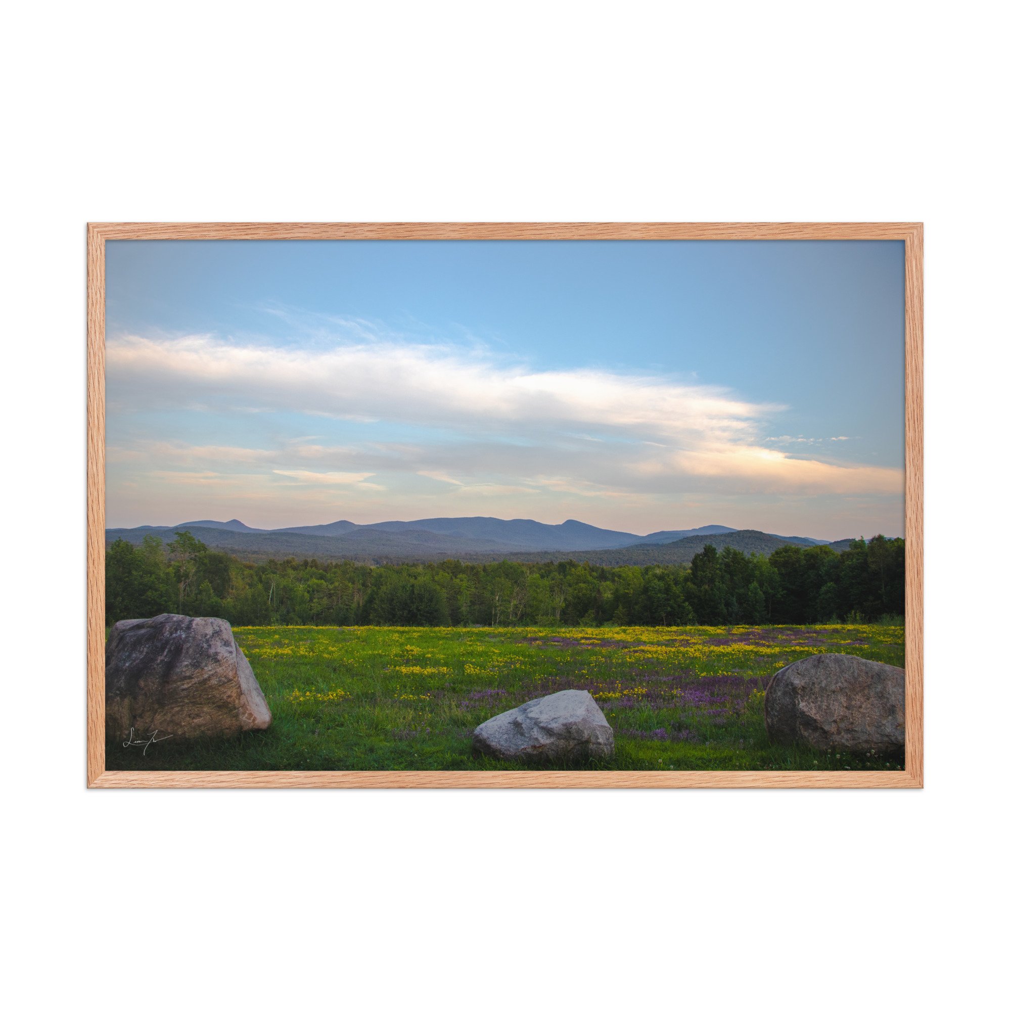 premium-luster-photo-paper-framed-poster-(in)-red-oak-24x36-front-686a1423db313.jpg