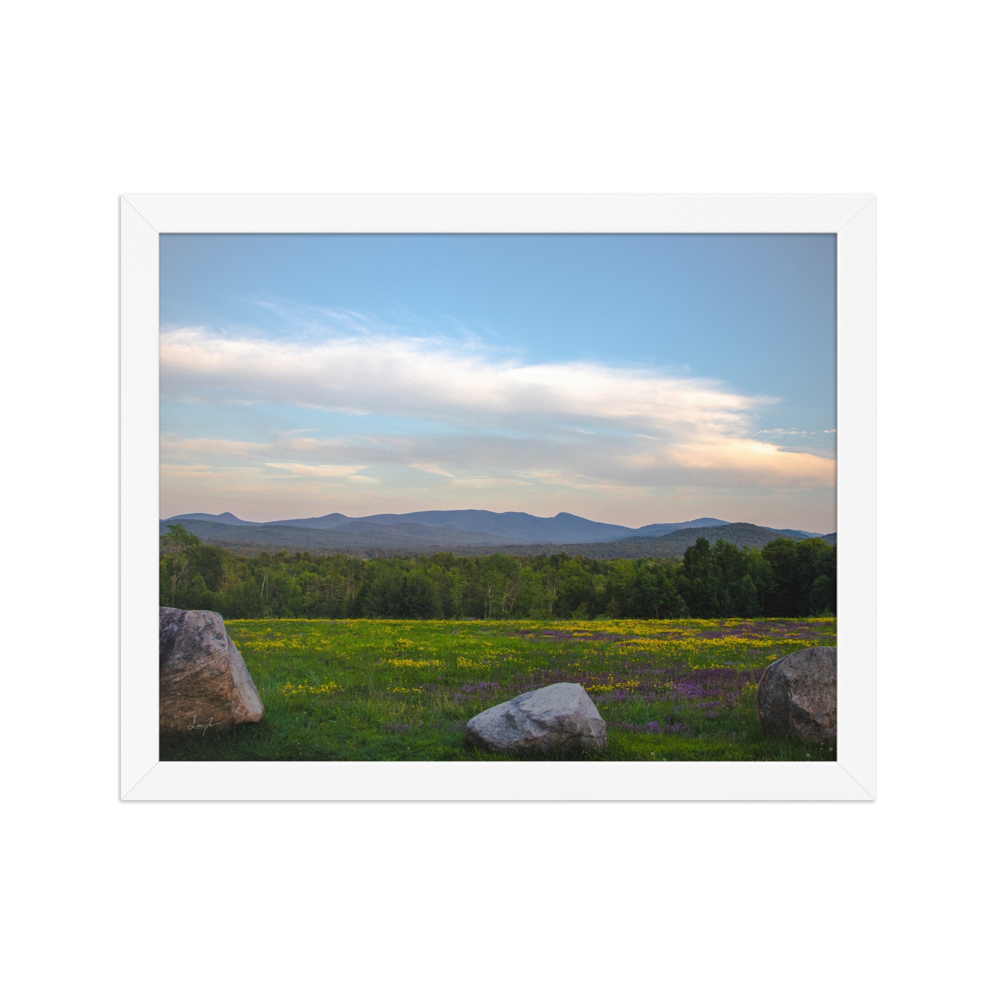 premium-luster-photo-paper-framed-poster-(in)-white-11x14-front-686a1423db43c.jpg