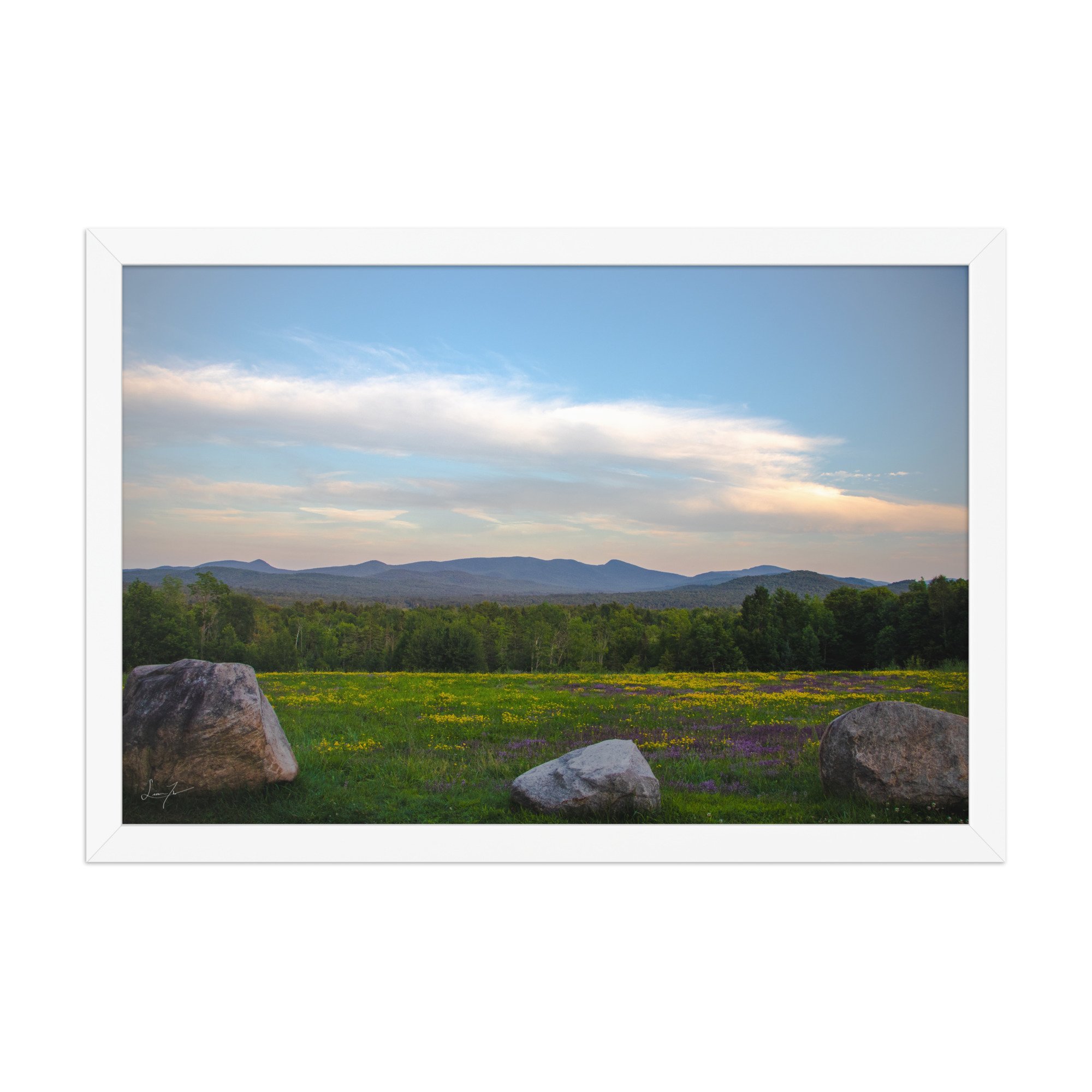 premium-luster-photo-paper-framed-poster-(in)-white-12x18-front-686a1423db560.jpg