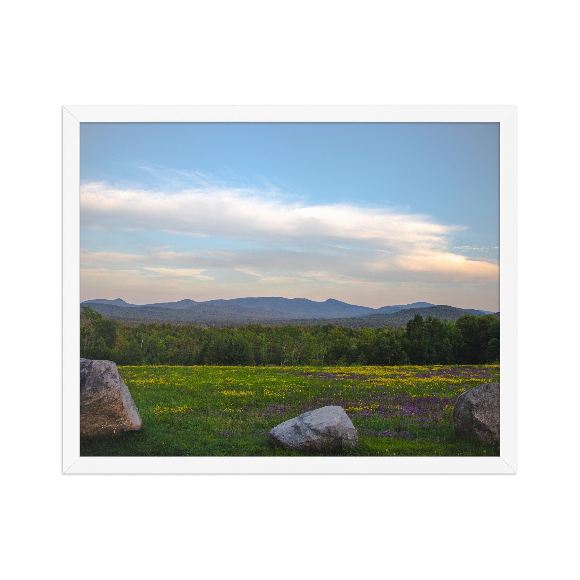 premium-luster-photo-paper-framed-poster-(in)-white-16x20-front-686a1423db5f2.jpg
