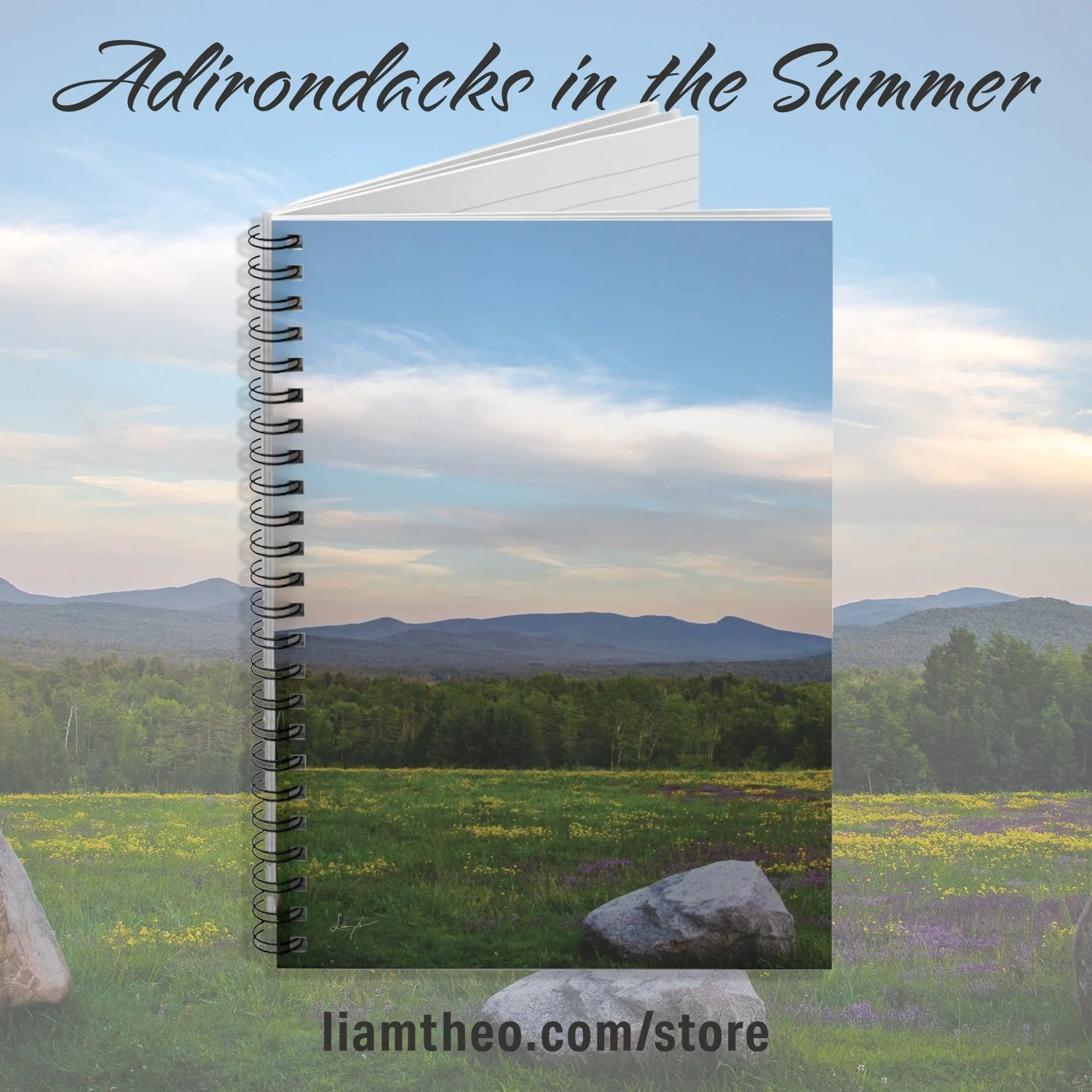 Adirondacks in the Summer Spiral Notebook