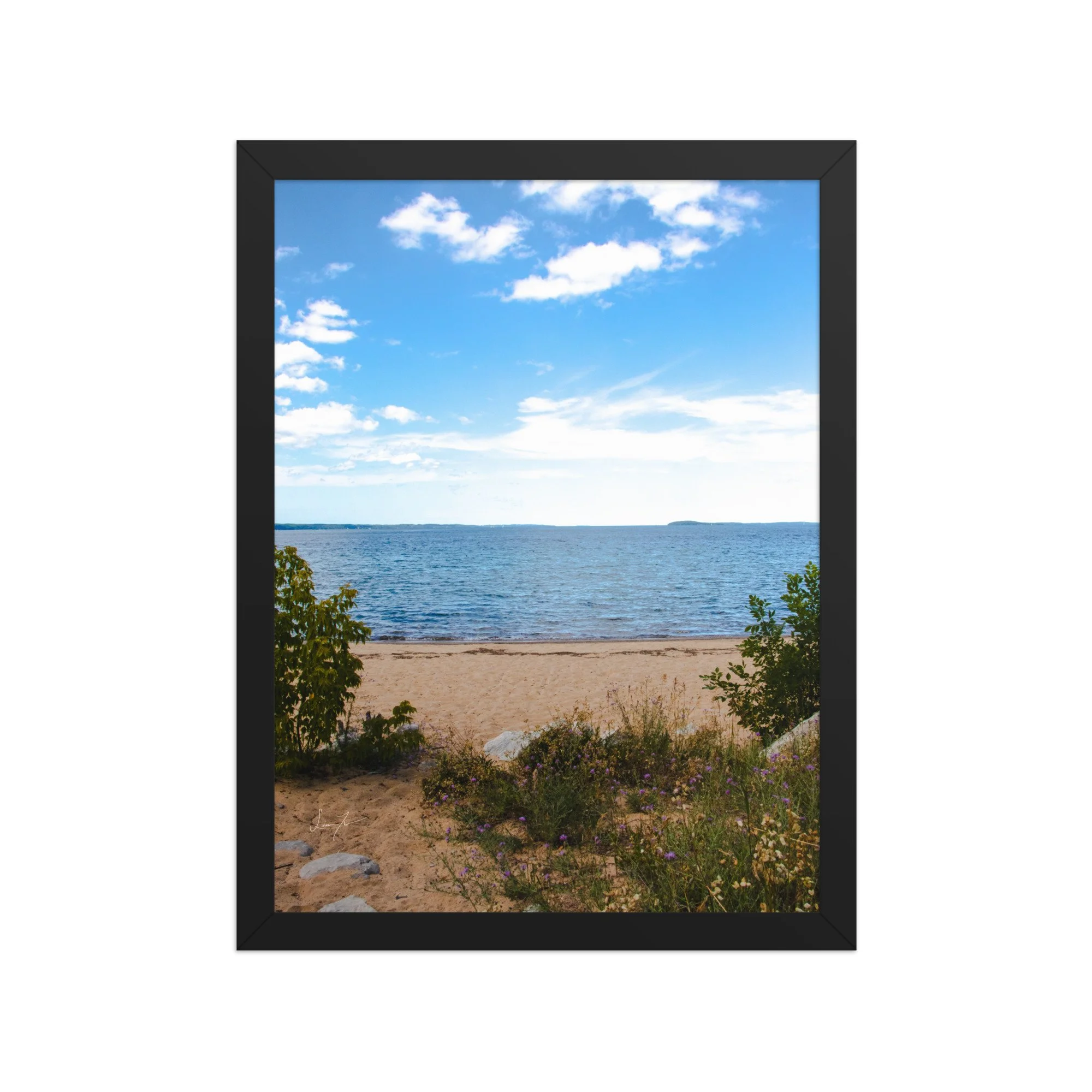 premium-luster-photo-paper-framed-poster-(in)-black-12x16-front-689d5d4aeb4a3.jpg