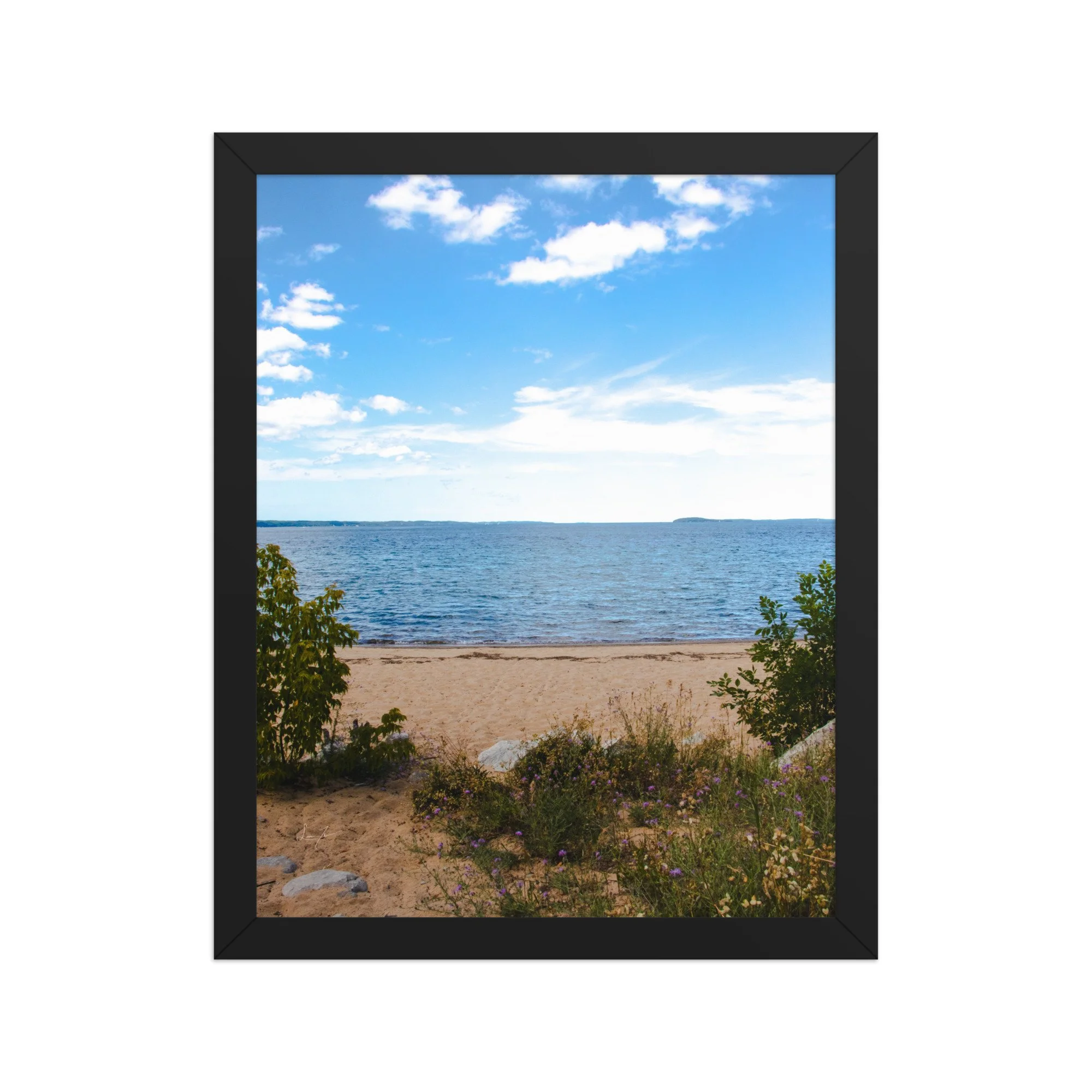 premium-luster-photo-paper-framed-poster-(in)-black-11x14-front-689d5d4aebac4.jpg