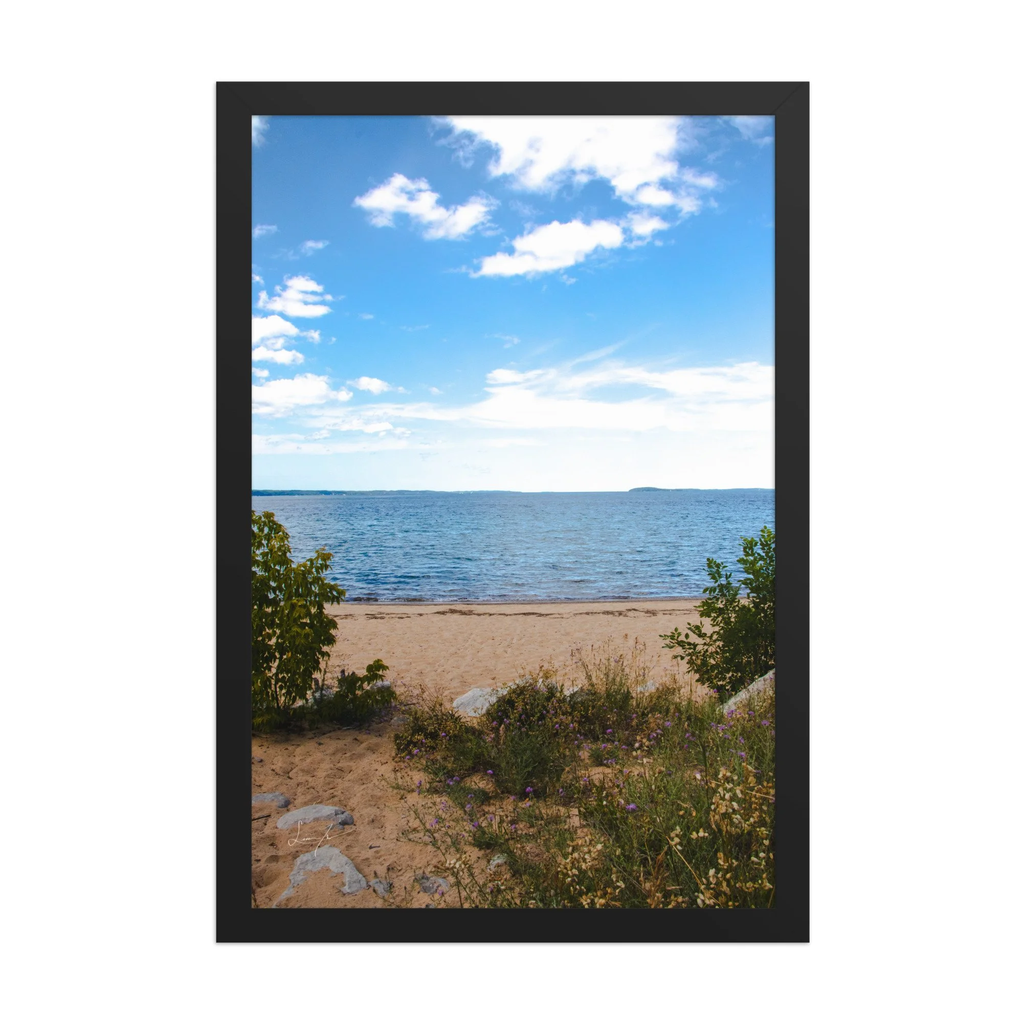 premium-luster-photo-paper-framed-poster-(in)-black-12x18-front-689d5d4aebbb2.jpg