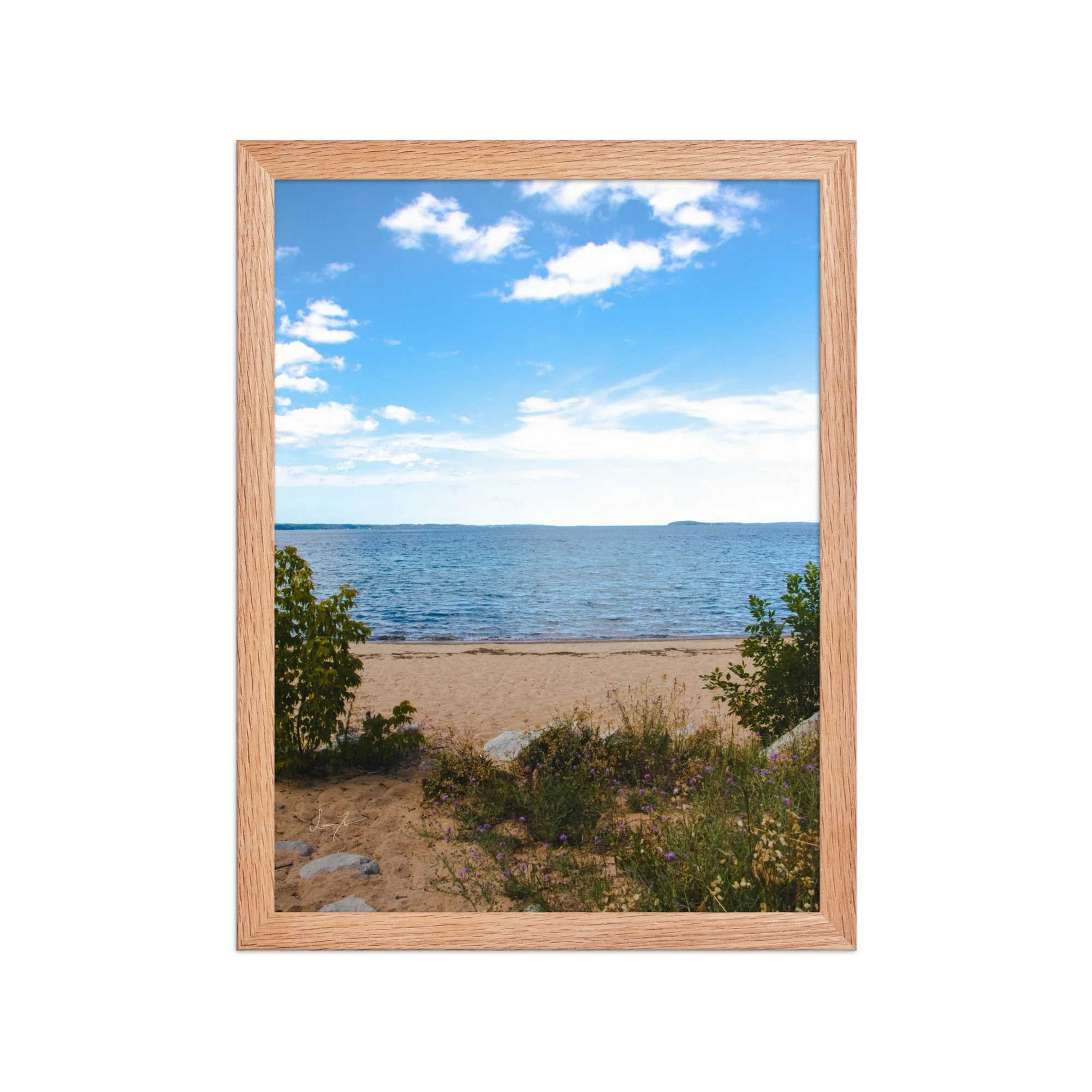 premium-luster-photo-paper-framed-poster-(in)-red-oak-12x16-front-689d5d4aebf43.jpg