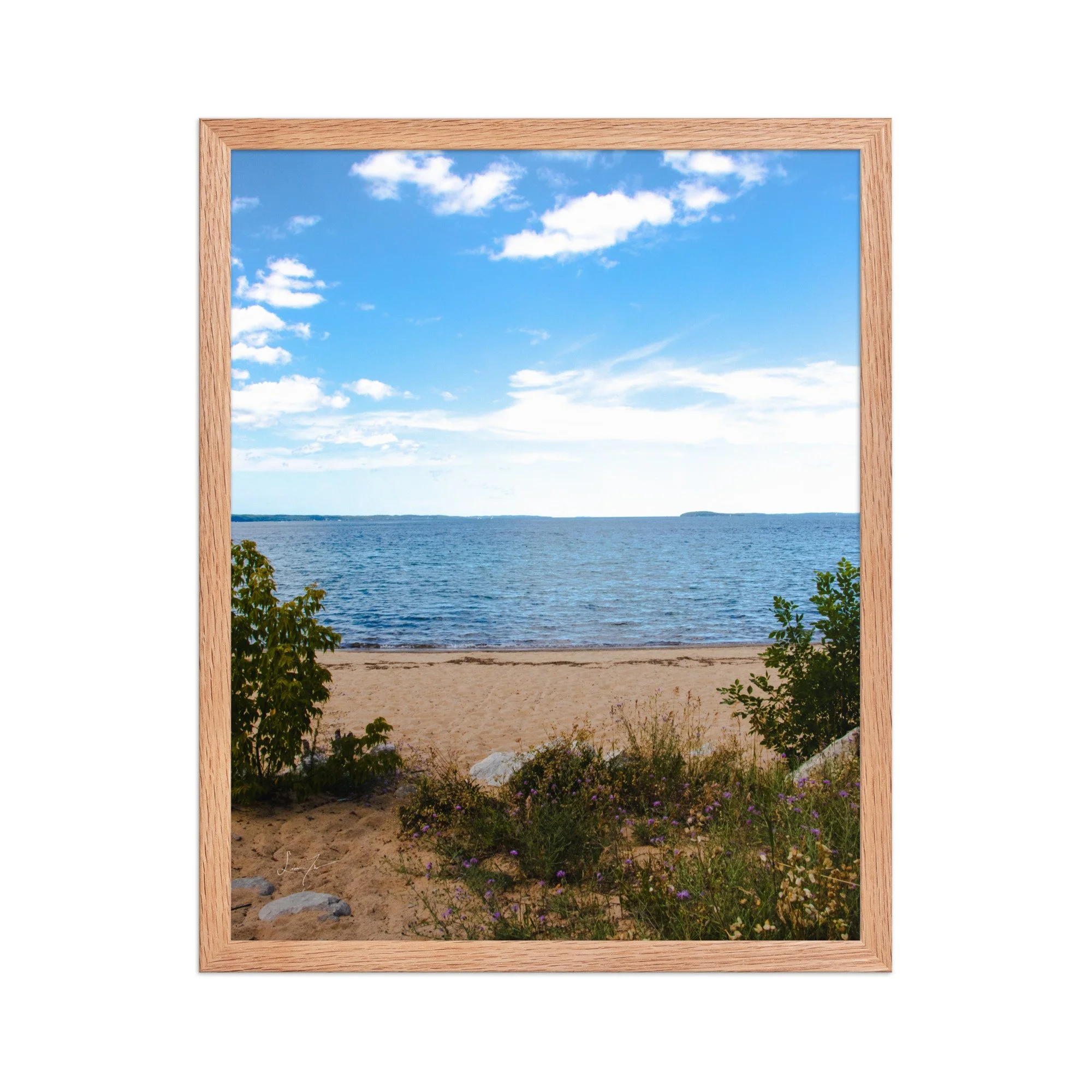premium-luster-photo-paper-framed-poster-(in)-red-oak-16x20-front-689d5d4aec066.jpg