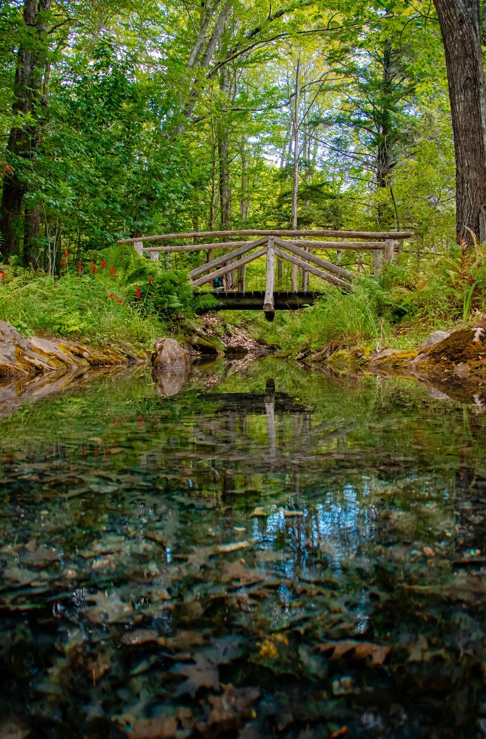 Serene Reflections in Maine