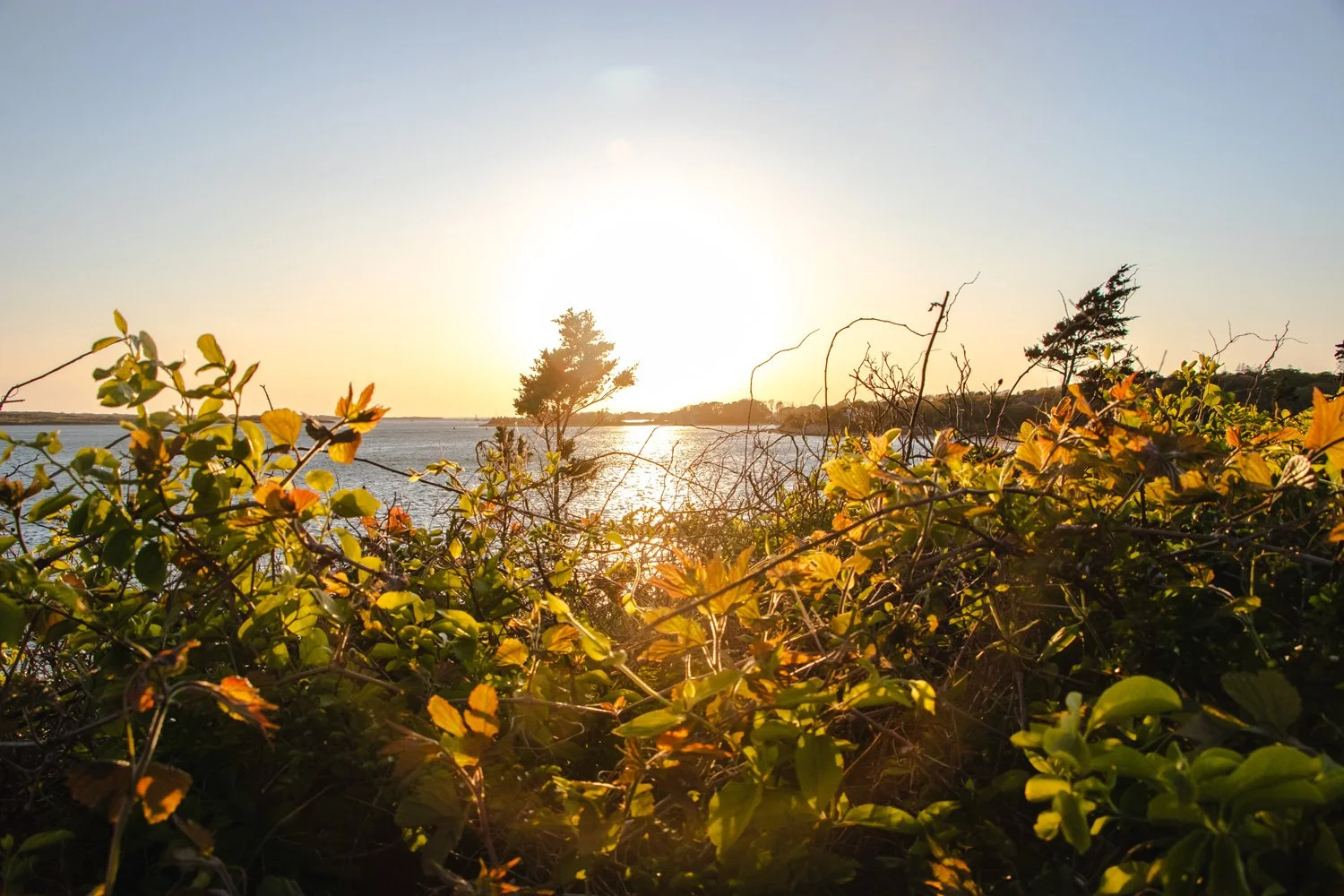 Sun on the Cape