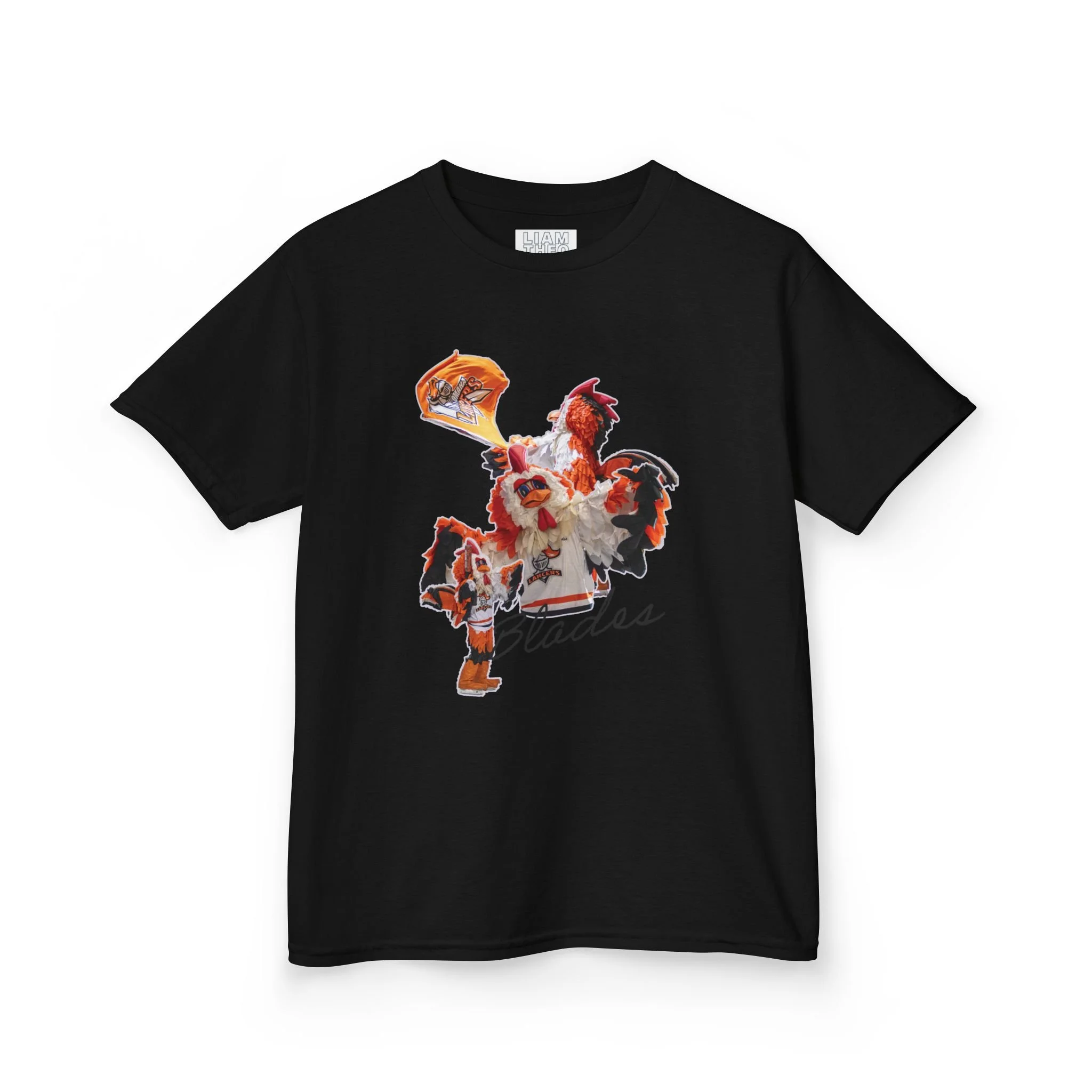 b491585513e3e985ae4ca94ad35fc3ce