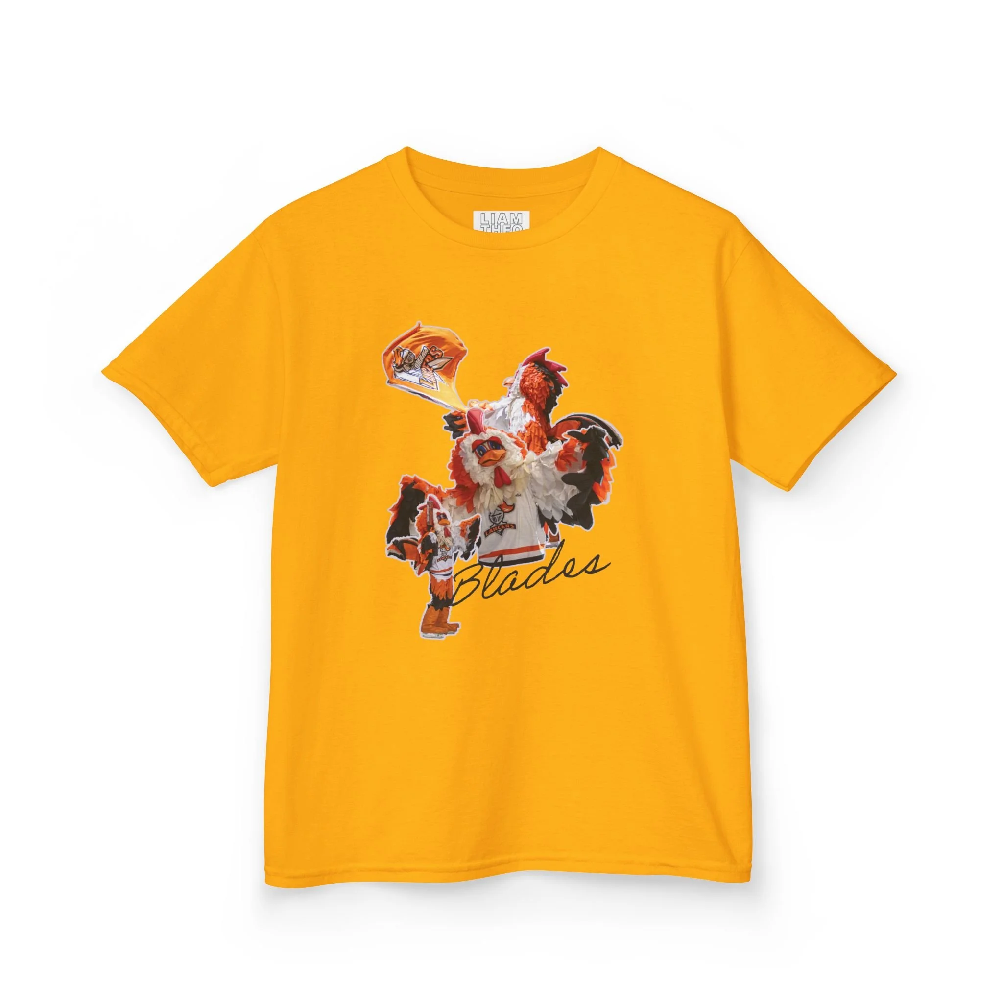 6dd409793c45c0898ba8596588ed1b9d