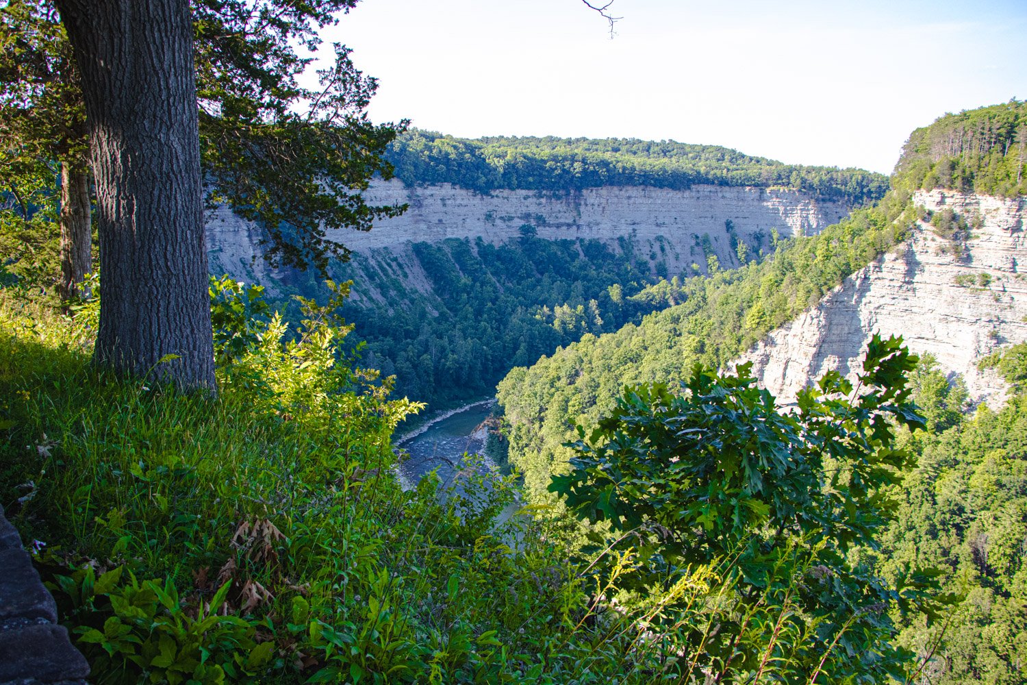 LetchworthStatePark-28June2026-LiamTheoPhotography-63.jpg