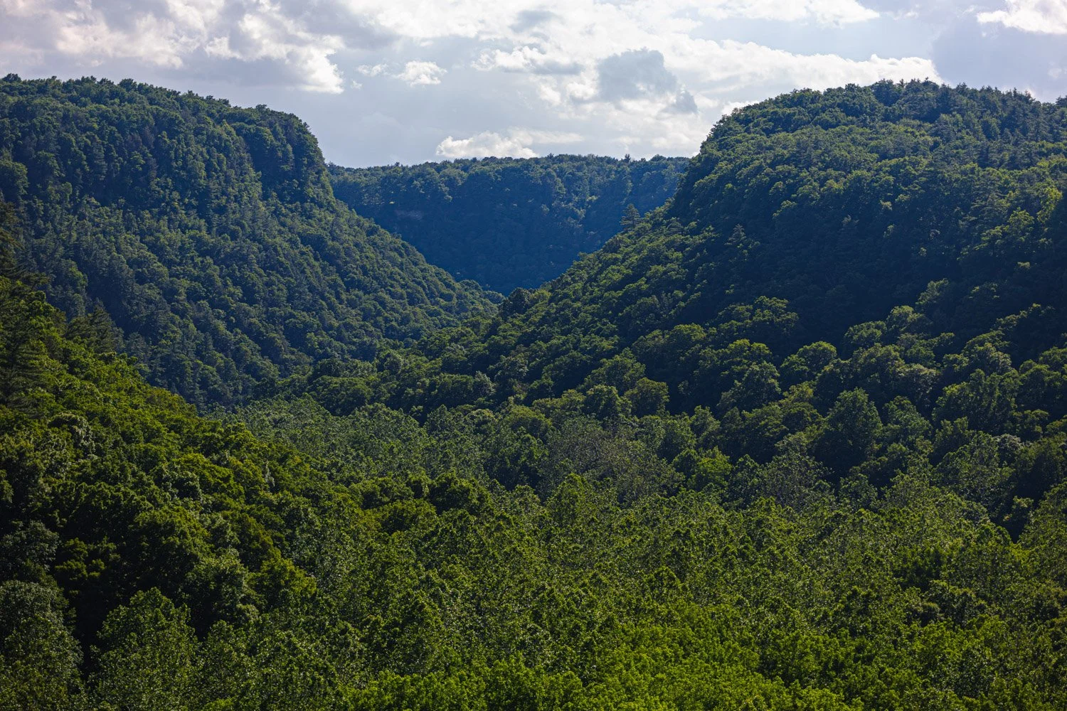 LetchworthStatePark-28June2026-LiamTheoPhotography-12.jpg