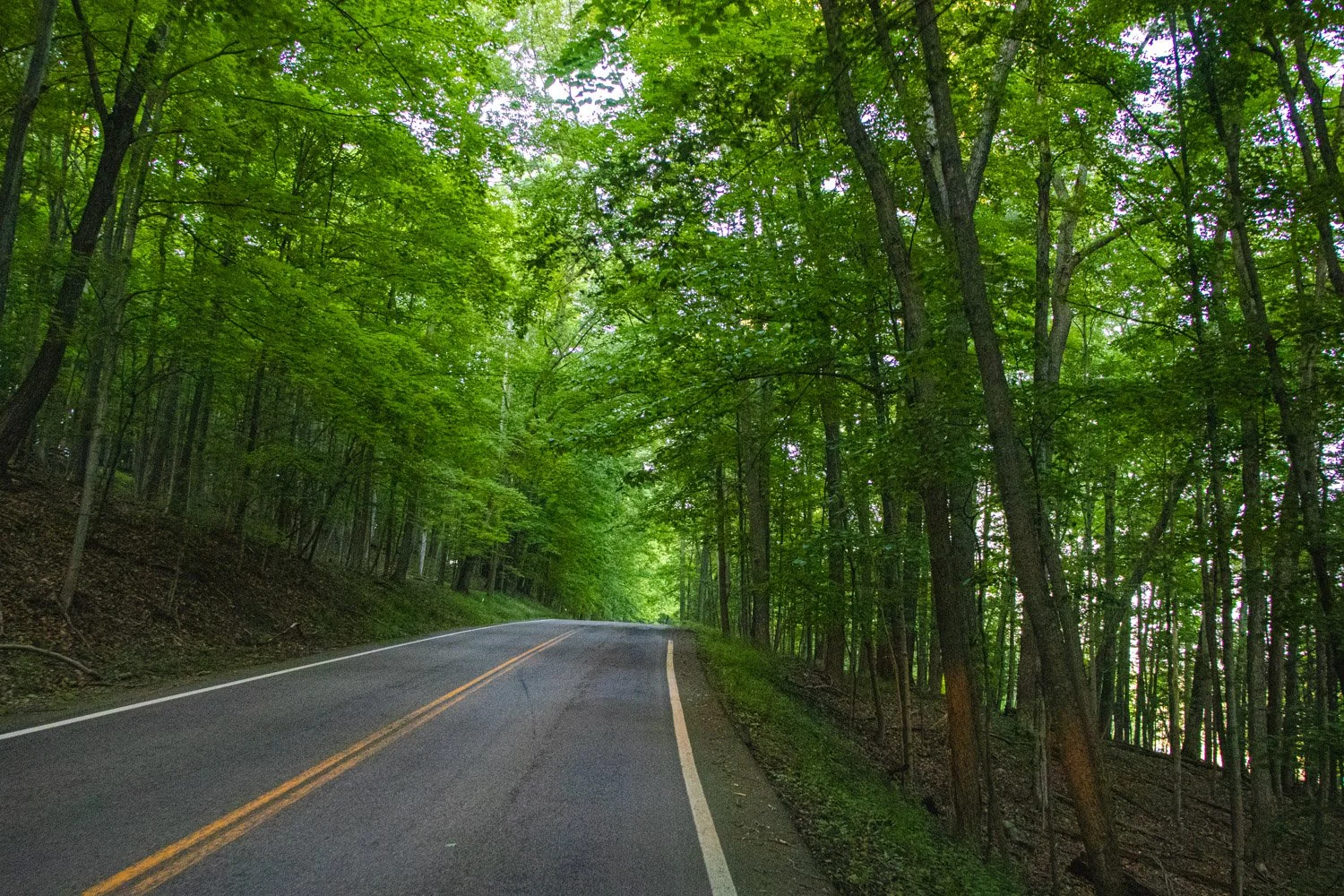 LetchworthStatePark-28June2026-LiamTheoPhotography-93.jpg