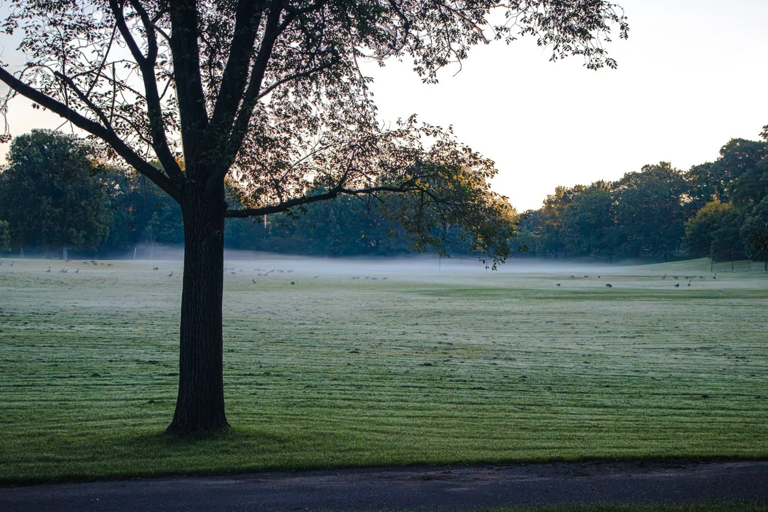 SaturdayMorningInRochesterNewYork-12.jpg