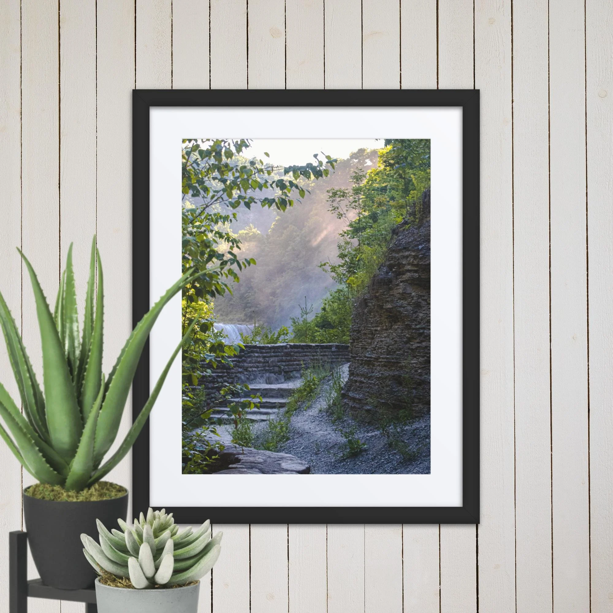 A Walk Along A Hazy Letchworth State Park Photography Print