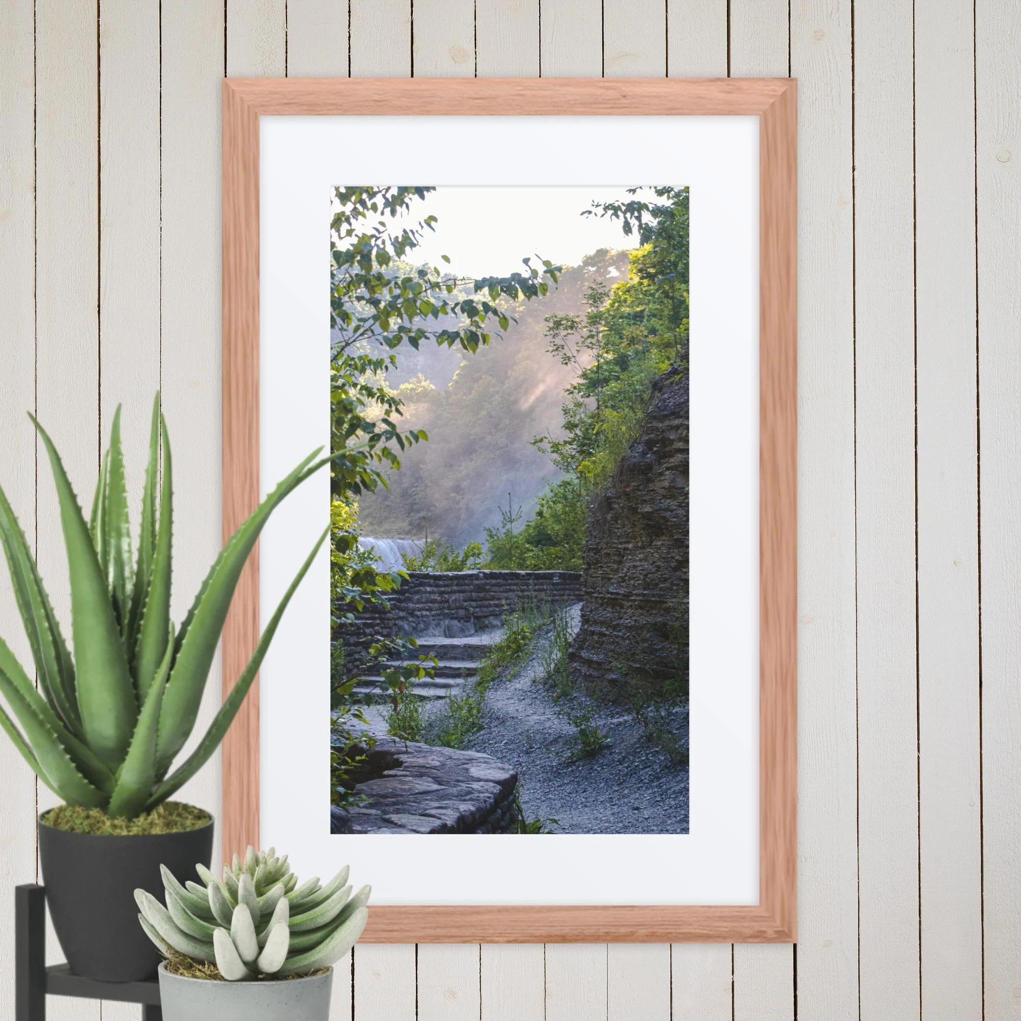 A Walk Along A Hazy Letchworth State Park Photography Print