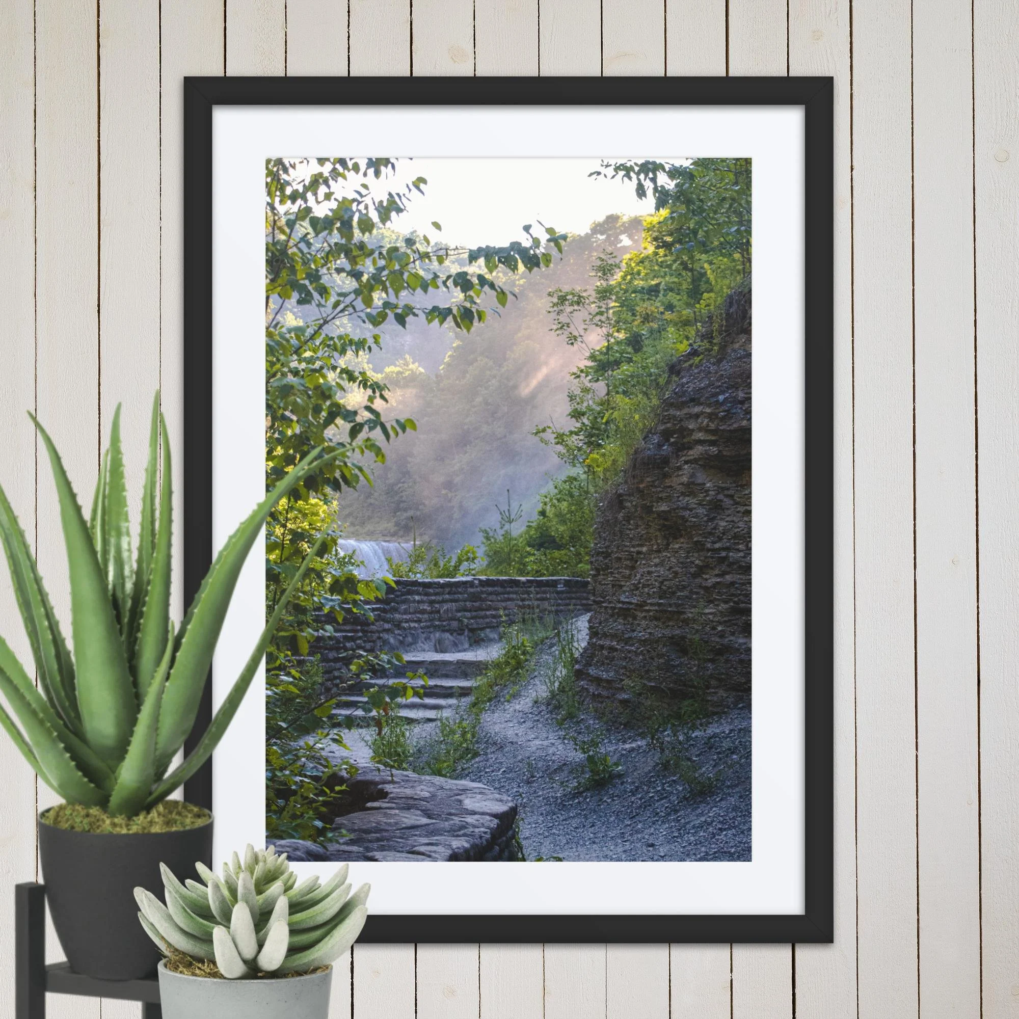 A Walk Along A Hazy Letchworth State Park Photography Print