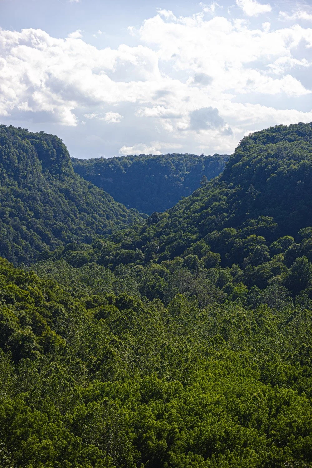 LetchworthStatePark-28June2026-LiamTheoPhotography-11.jpg