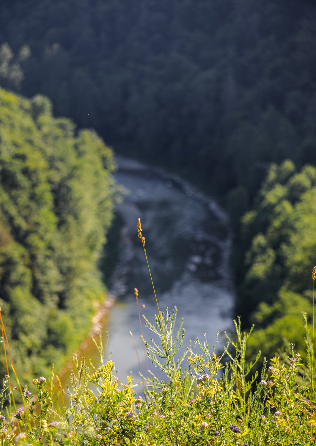 LetchworthStatePark-28June2026-LiamTheoPhotography-43.jpg