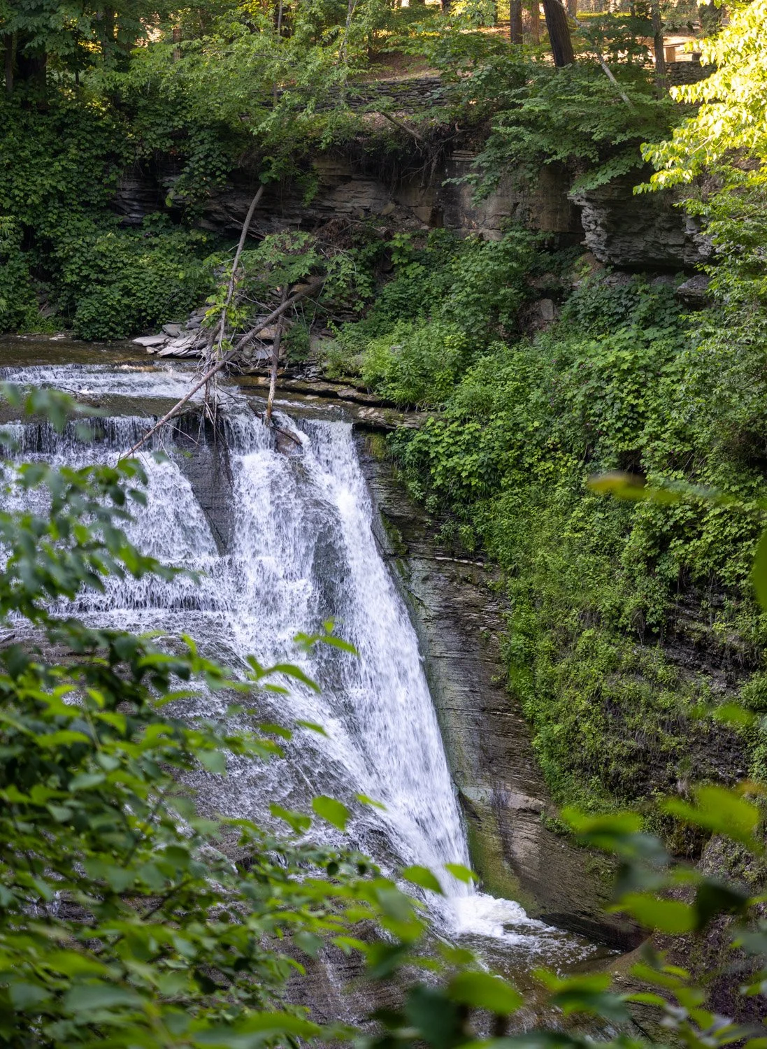LetchworthStatePark-28June2026-LiamTheoPhotography-19.jpg