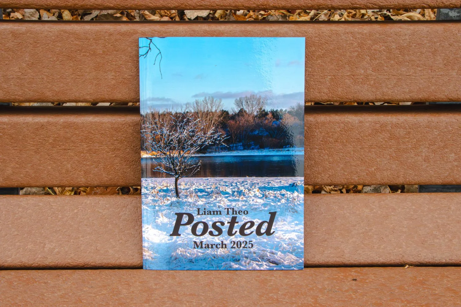 Posted Photography Book