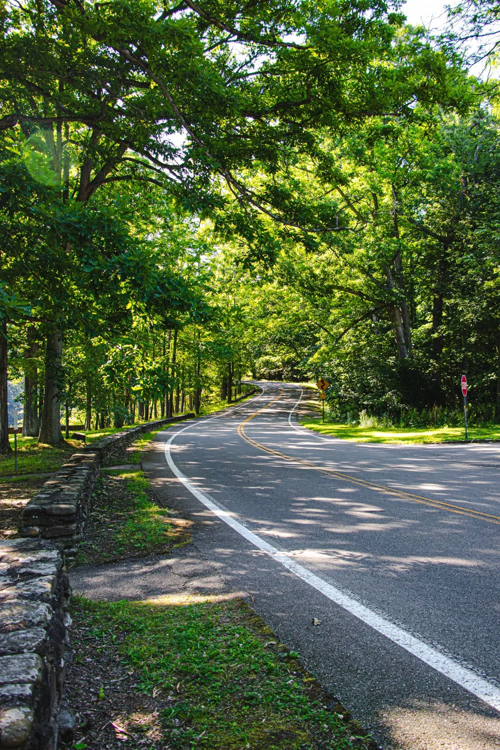 LetchworthStatePark-28June2026-LiamTheoPhotography-38.jpg