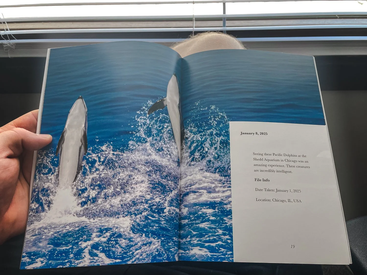 Liam Theo's first photography book is entitled "Posted" and this is from the January publish the 8th day to be exact