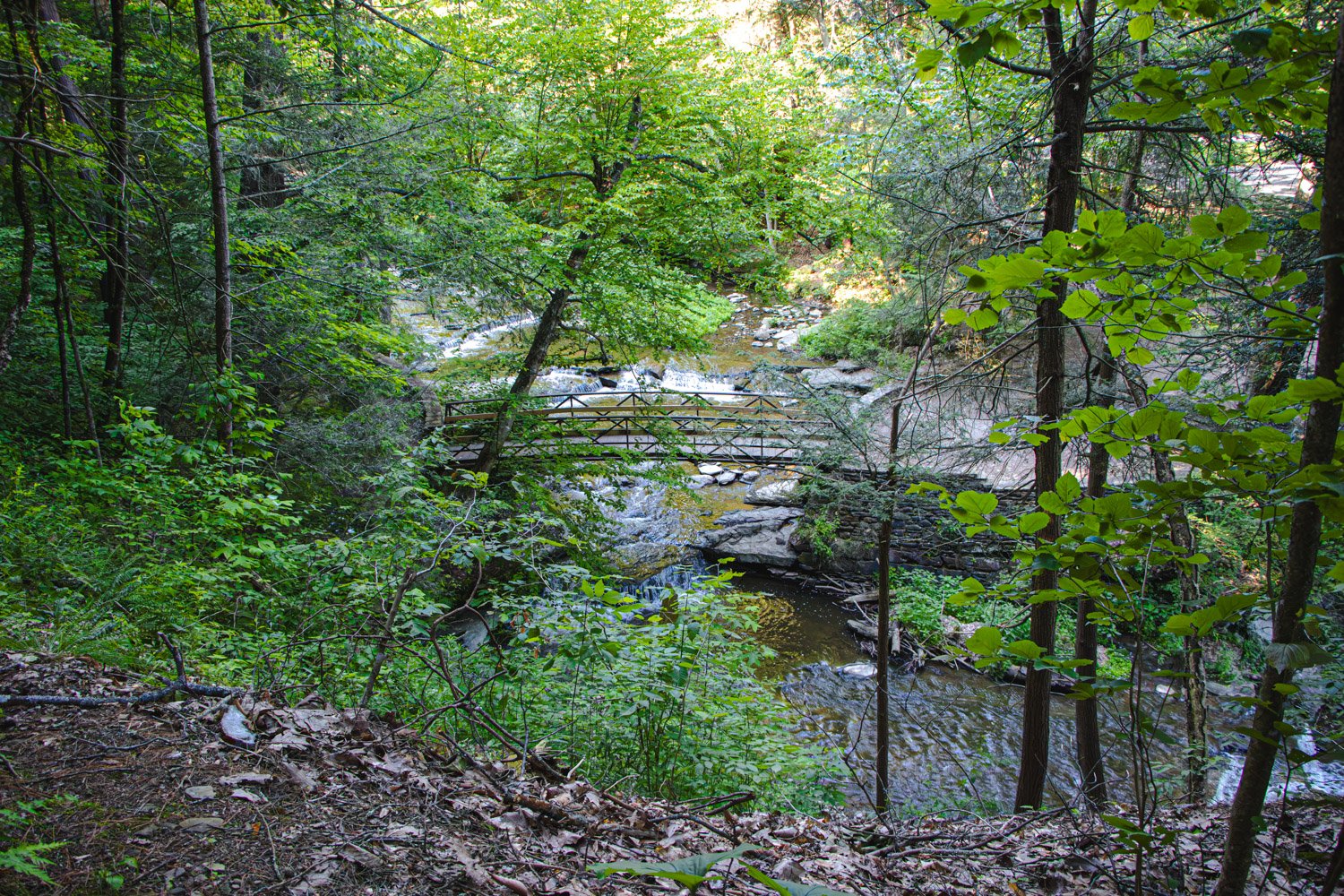 LetchworthStatePark-28June2026-LiamTheoPhotography-46.jpg