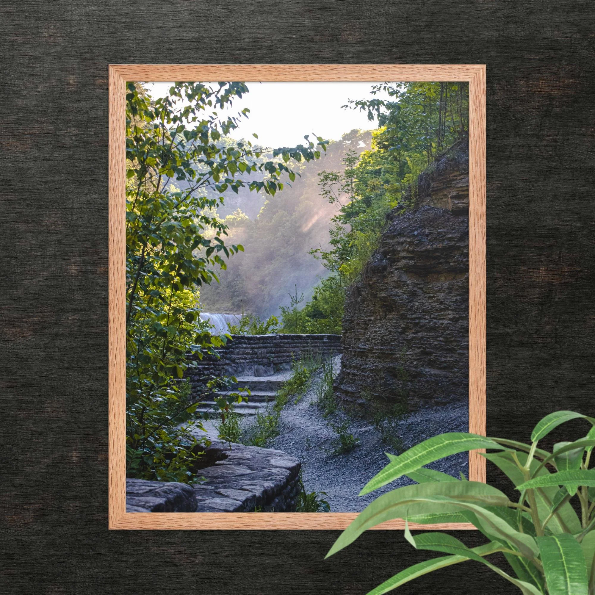 A Walk Along A Hazy Letchworth State Park Photography Print