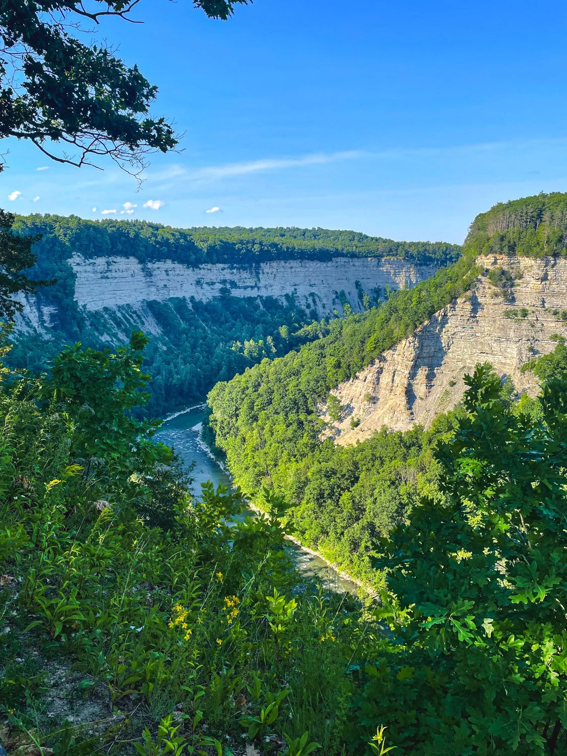 LetchworthStatePark-28June2026-LiamTheoPhotography-75.jpg